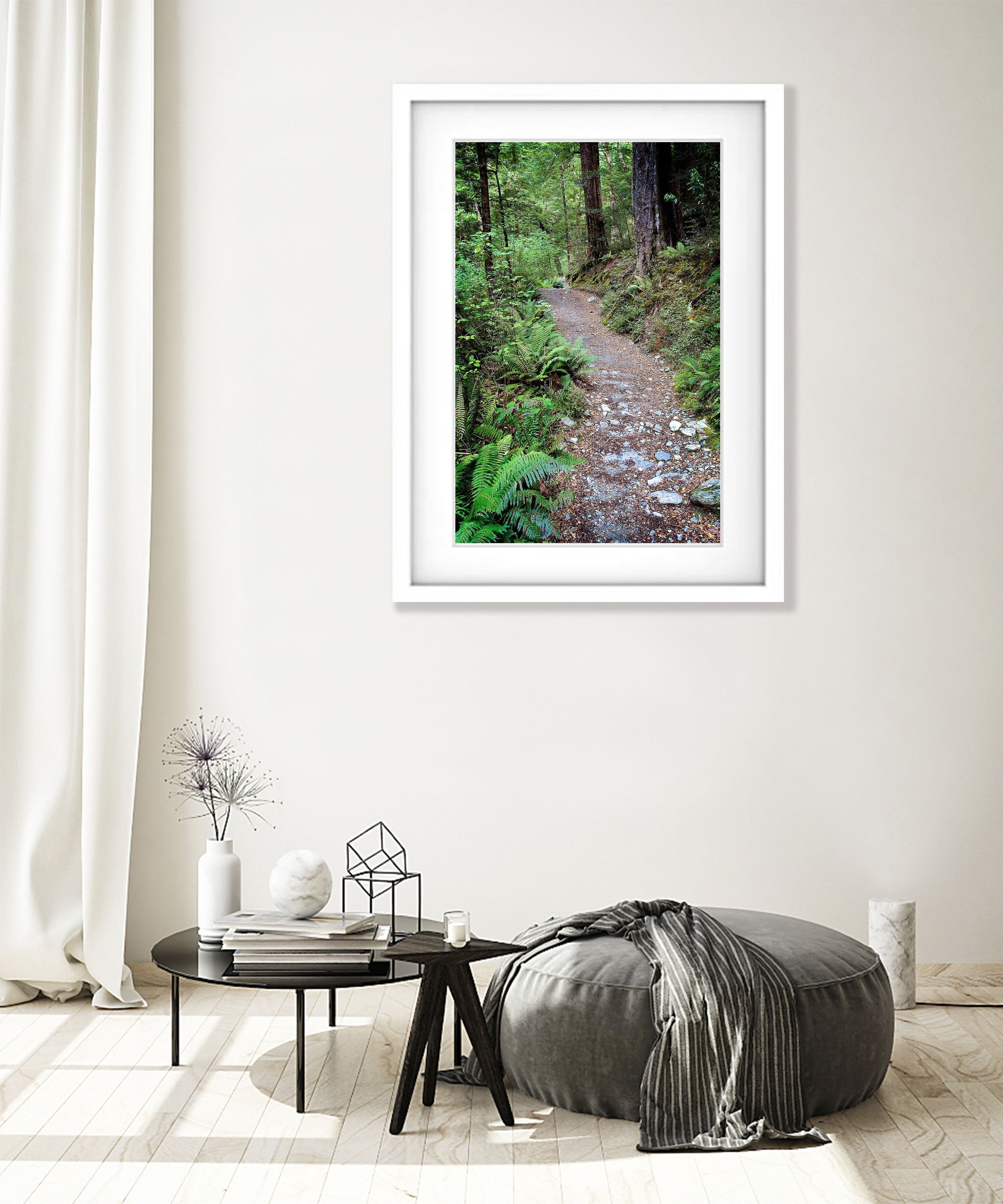 Journey Begins, Routeburn Track, NZL