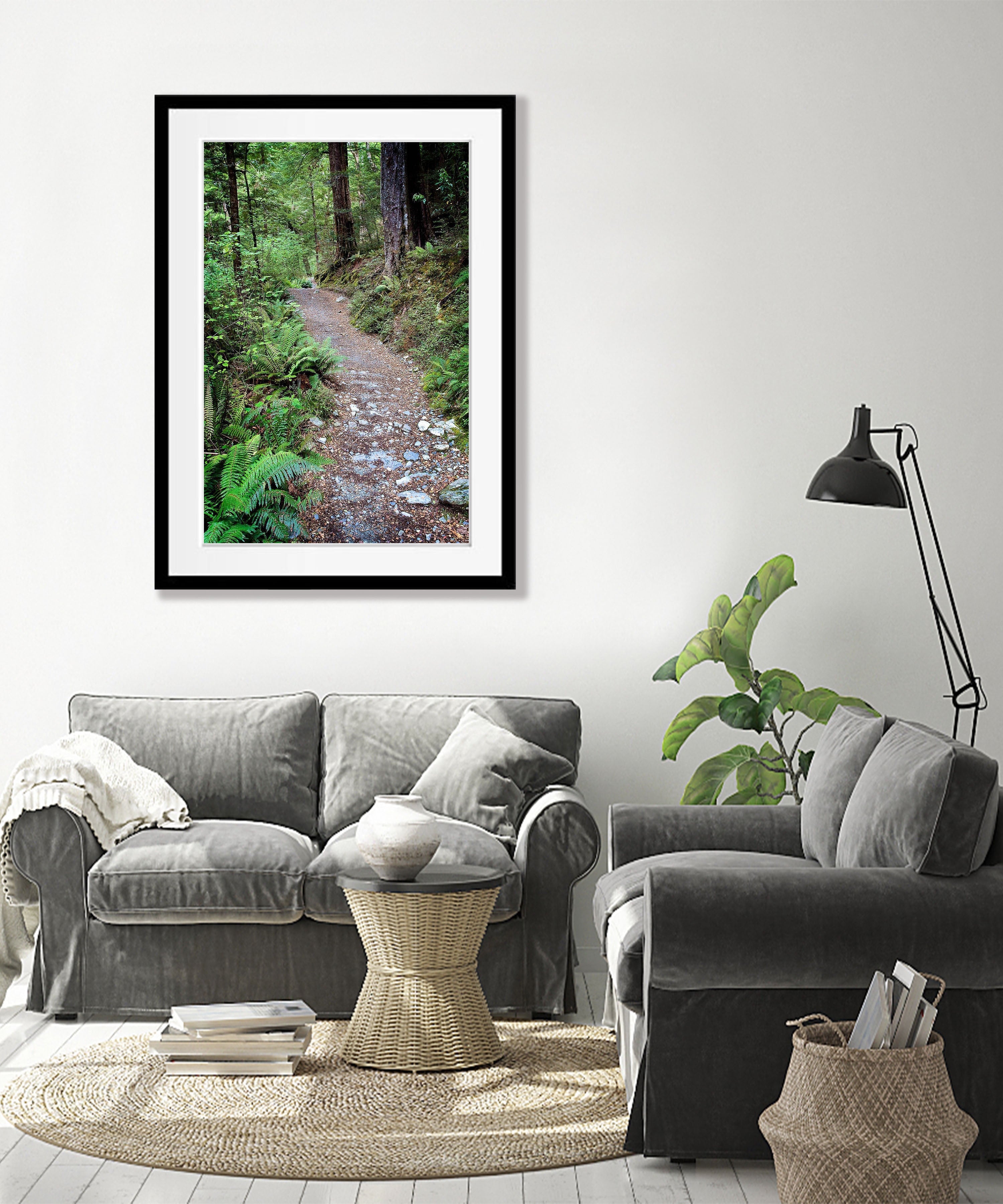 Journey Begins, Routeburn Track, NZL