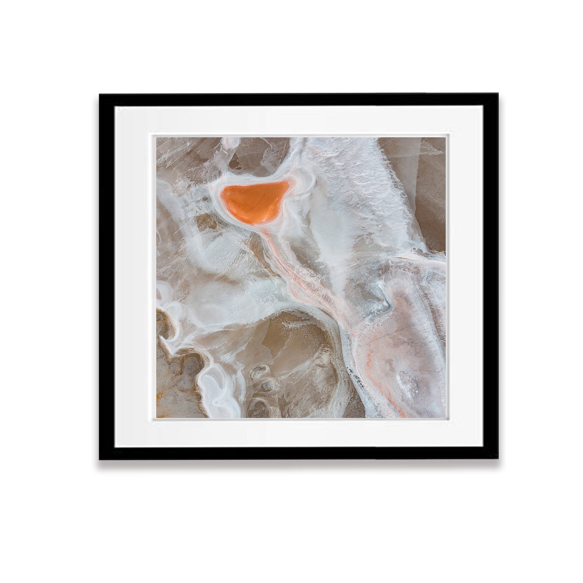 The Tulip