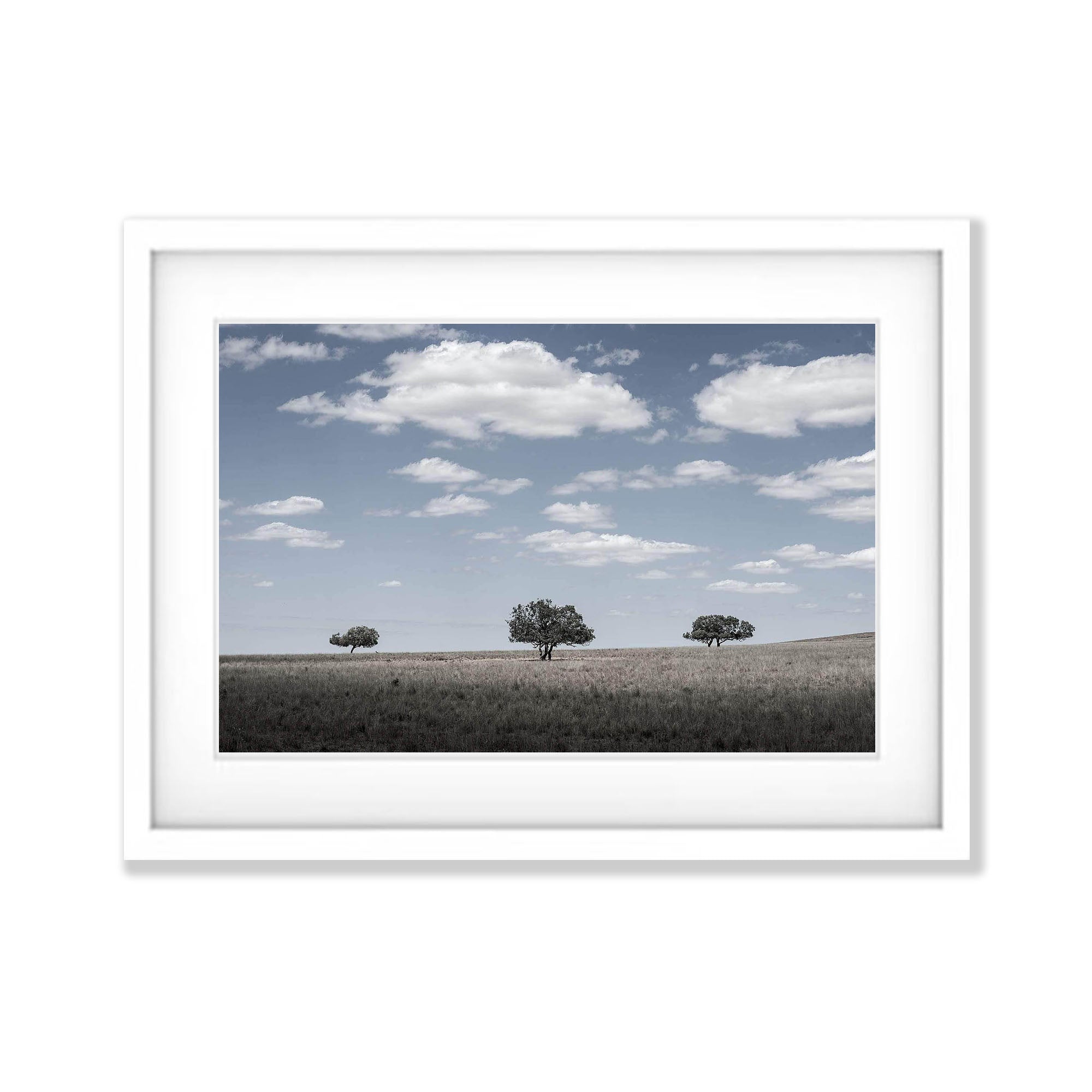 Three Amigos - Flinders Ranges SA