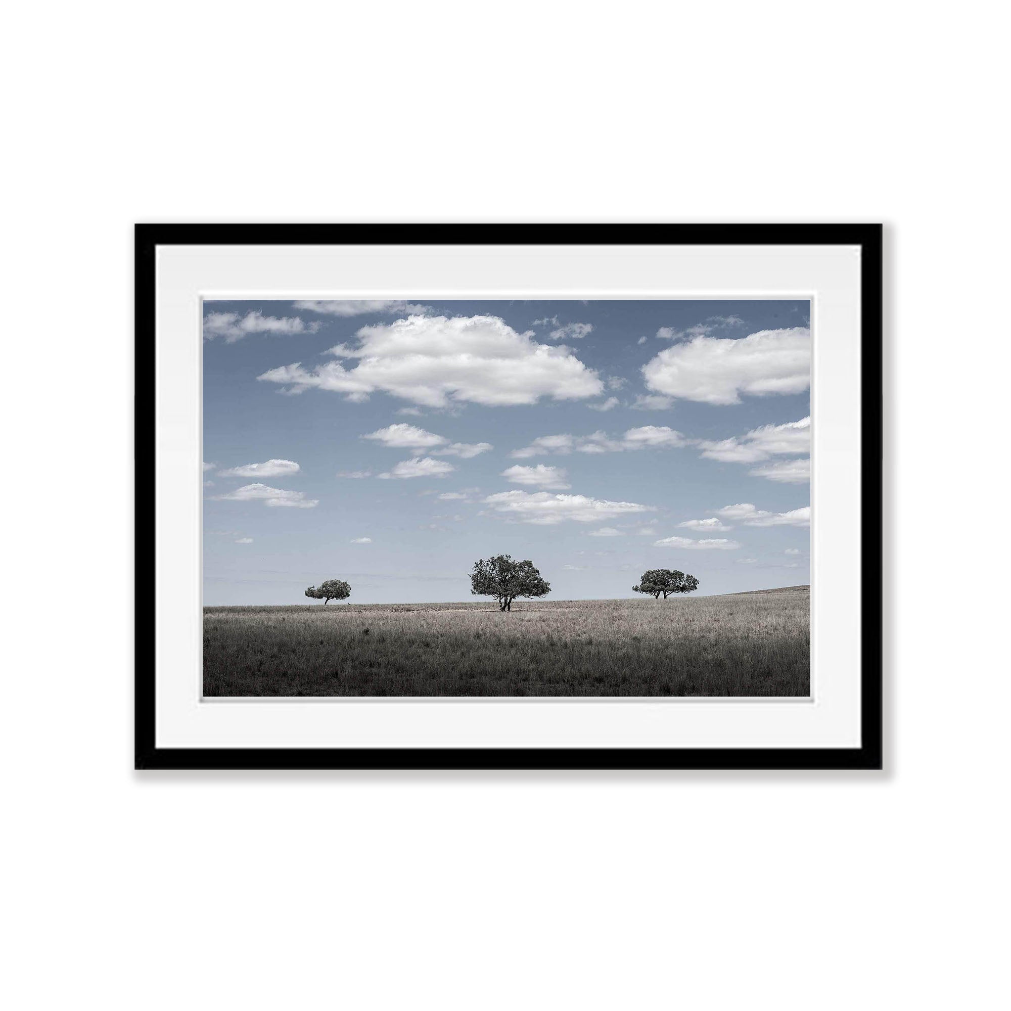 Three Amigos - Flinders Ranges SA