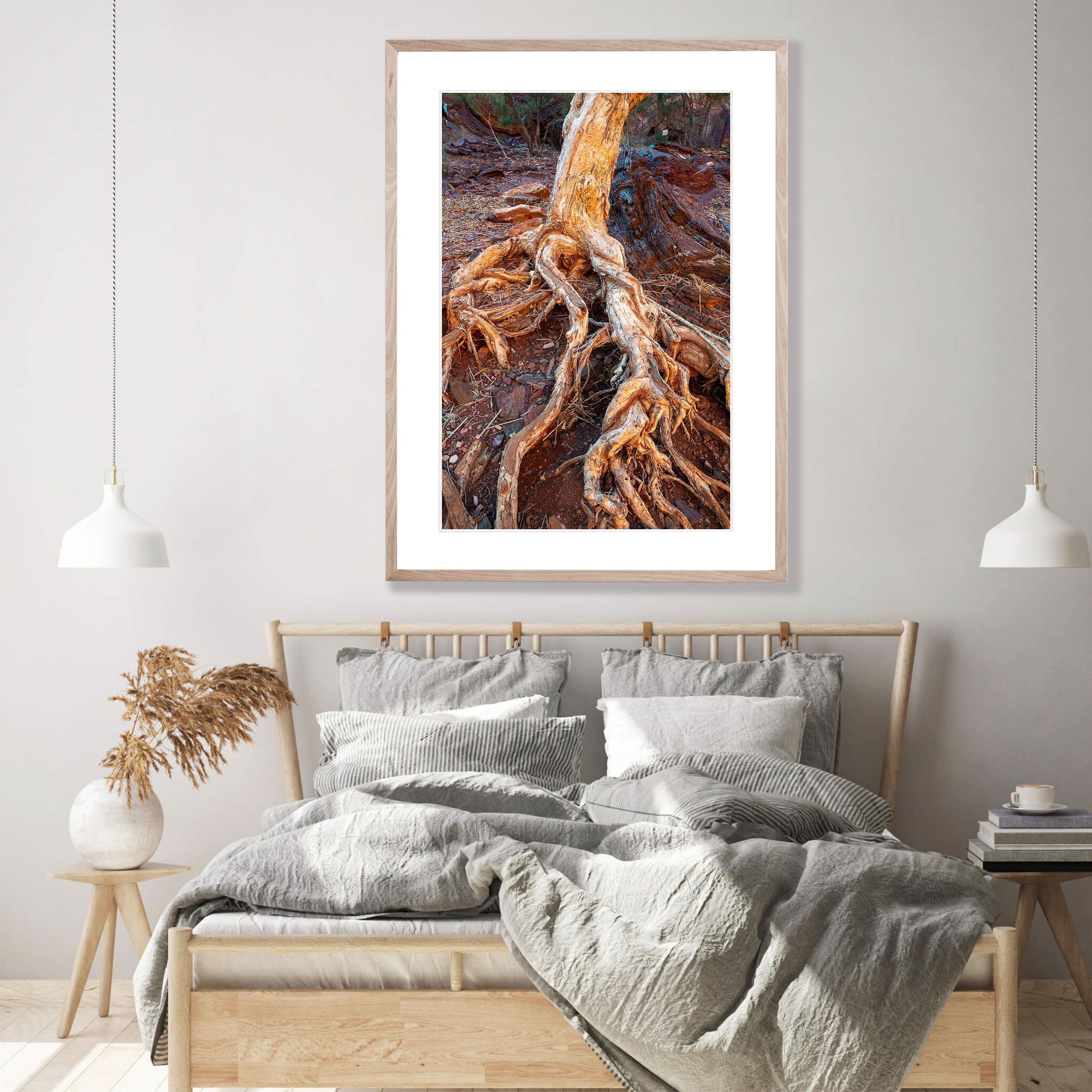 Tree Roots, Hammersley Gorge, Karijini, WA