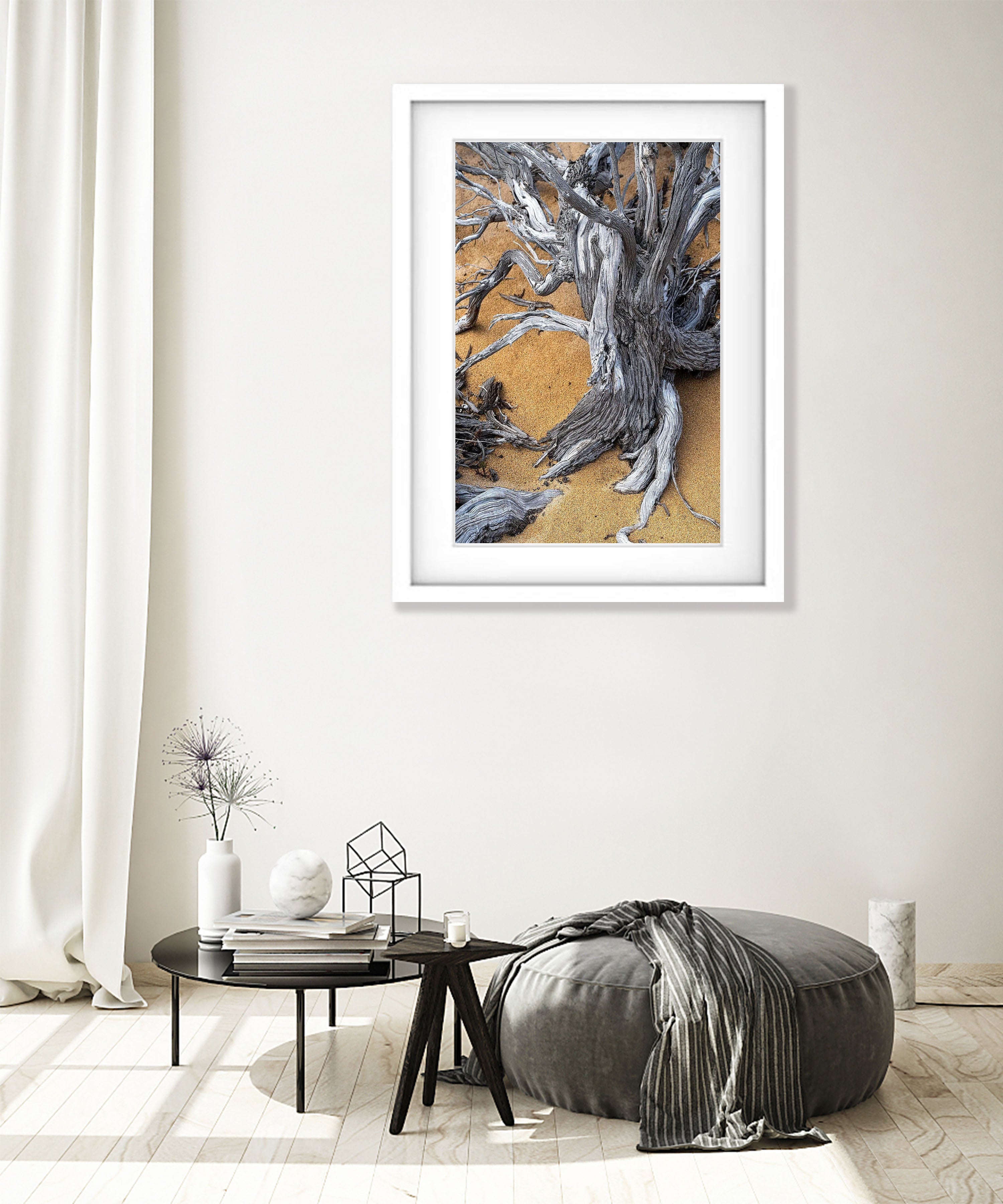 Tree Trunk, Kangaroo Island, South Australia