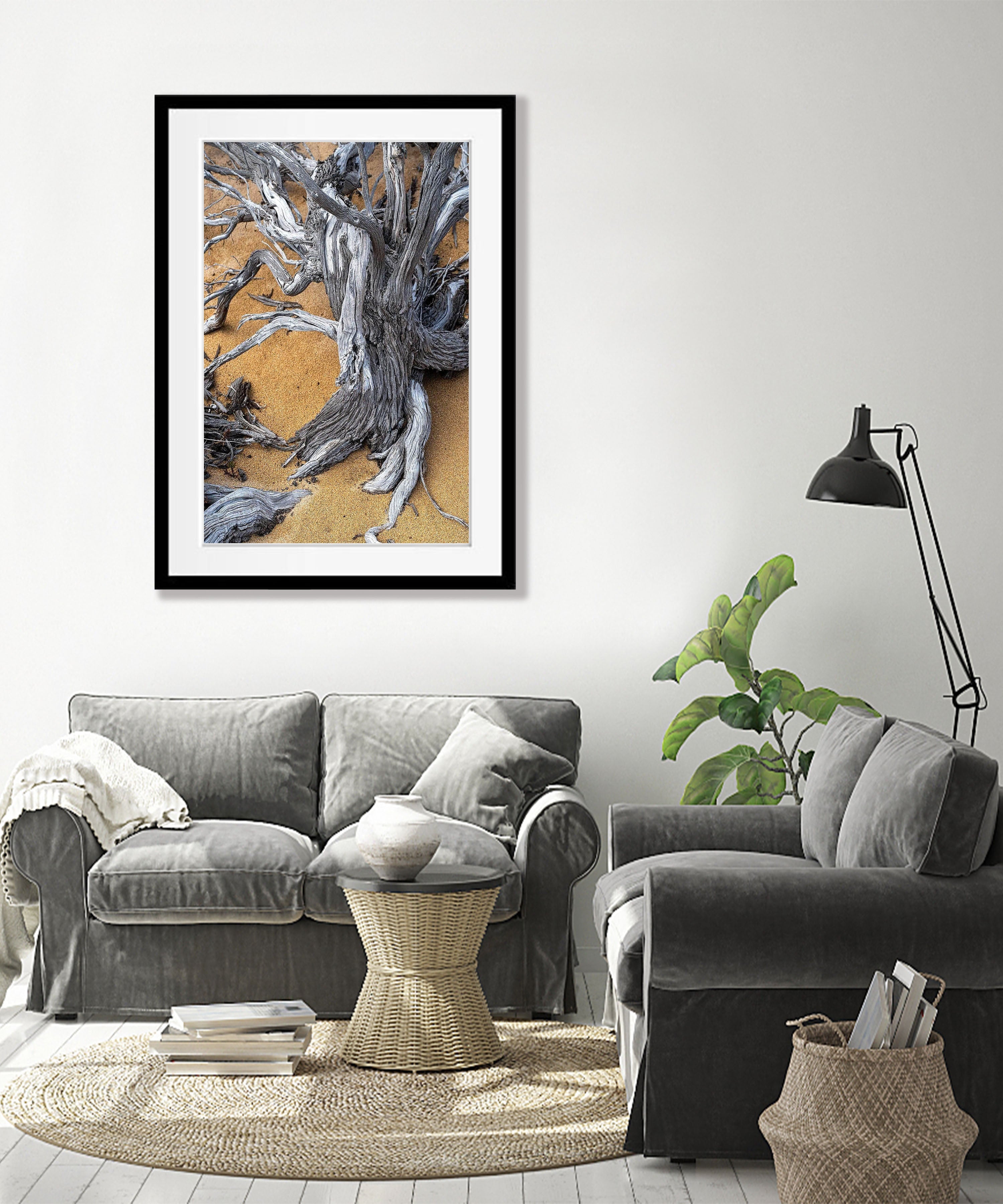 Tree Trunk, Kangaroo Island, South Australia