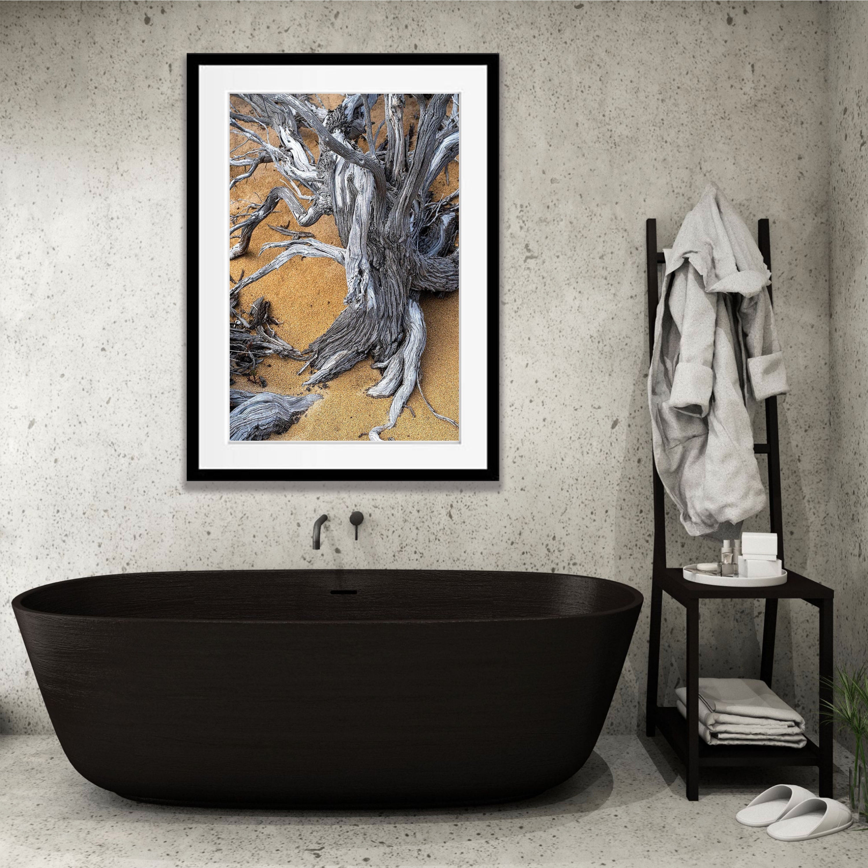 Tree Trunk, Kangaroo Island, South Australia