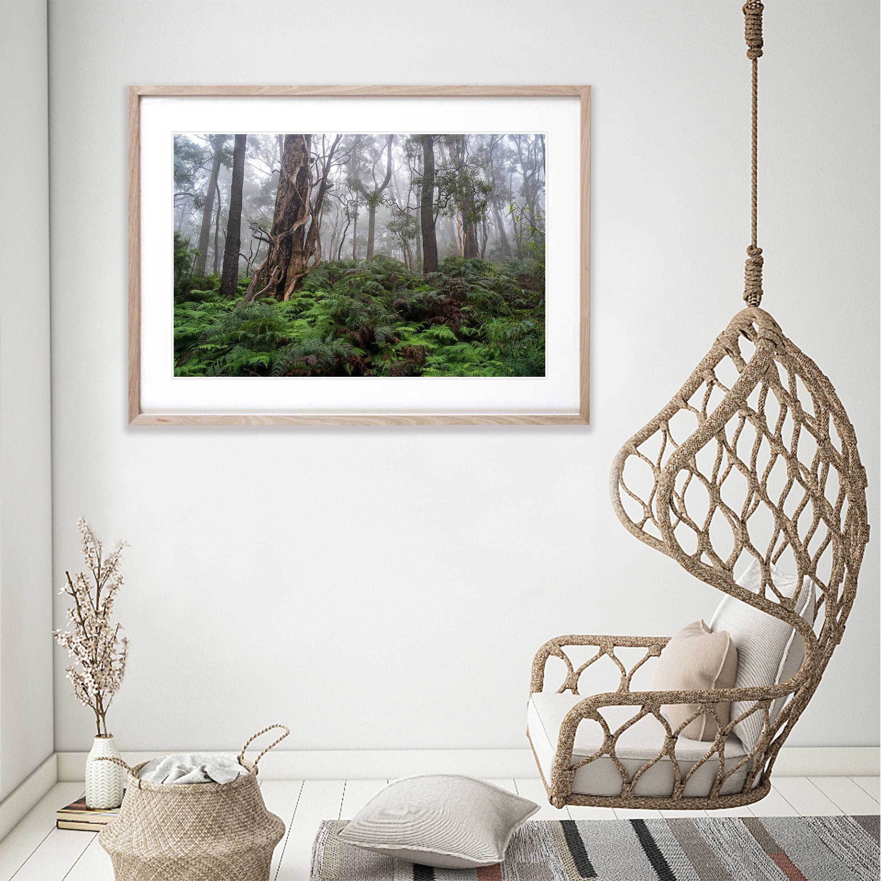 Twisted Forest - Mornington Peninsula, VIC