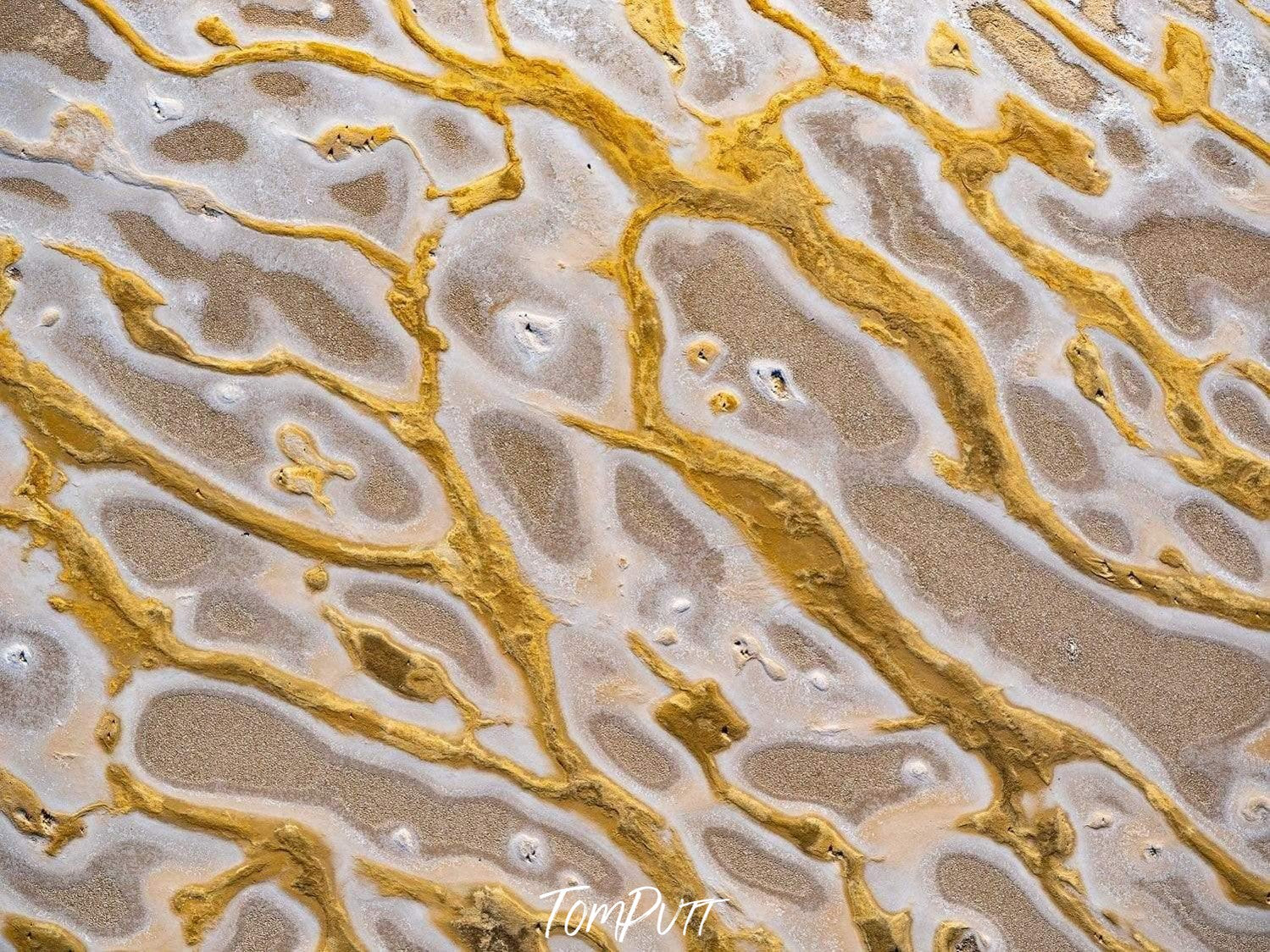 Golden leaf lines texture on a beach-like land, Liquid Gold