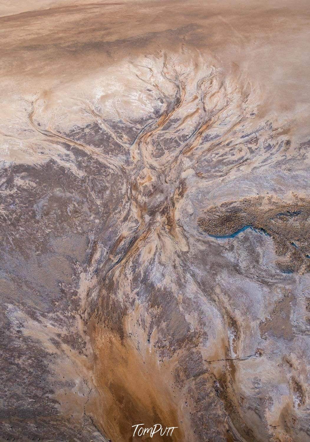 Long leaf-like lines and curves over a desert land, Vintage Flow