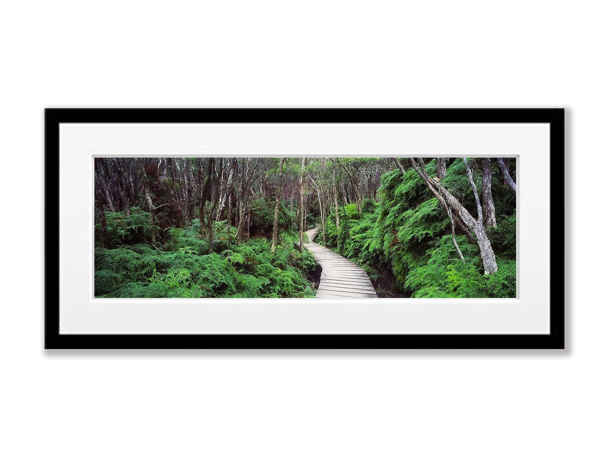 Walkway - Wilson's Promontory VIC