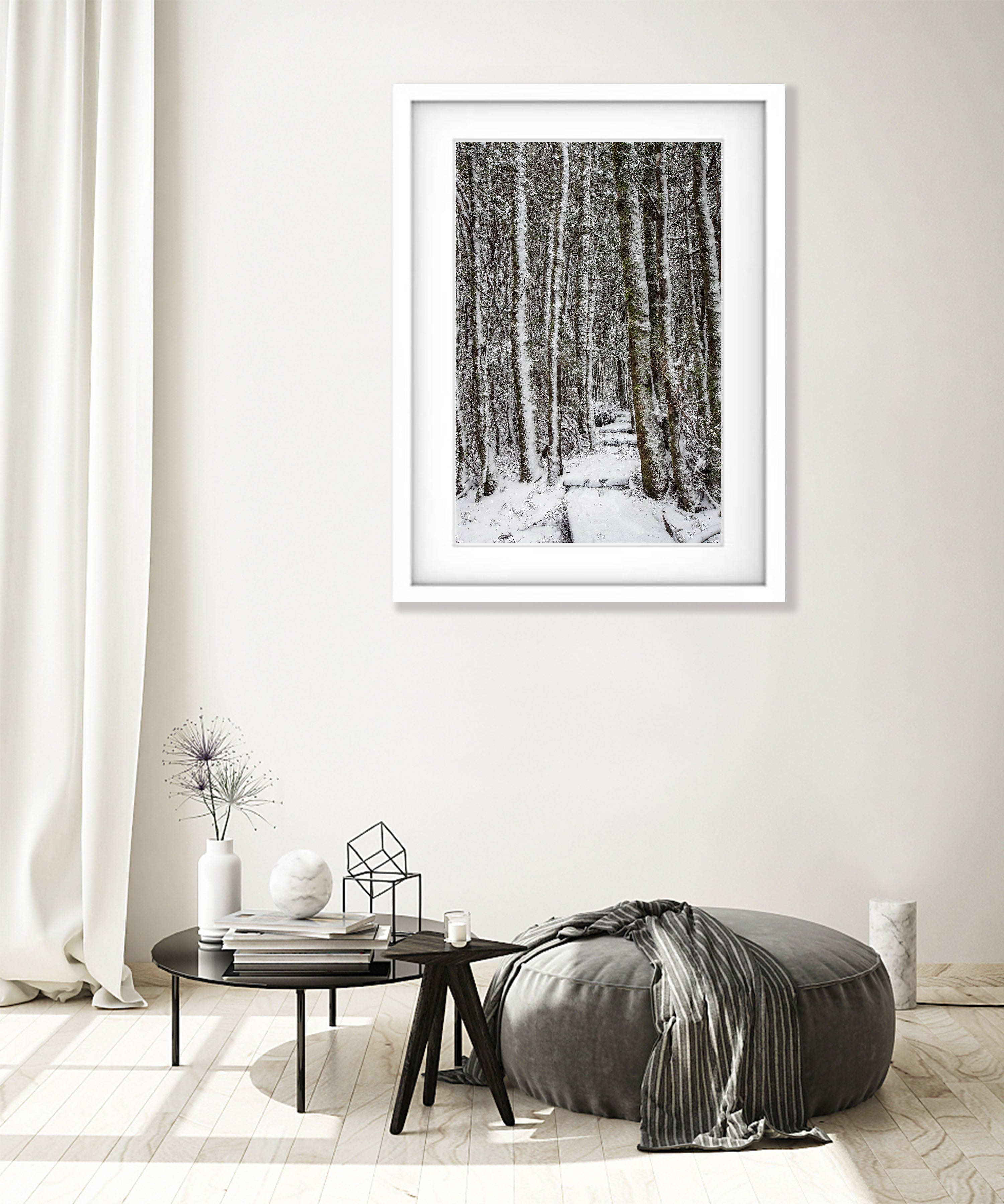 Walkway through the Snow-Covered Forest, Cradle Mountain, Tasmania