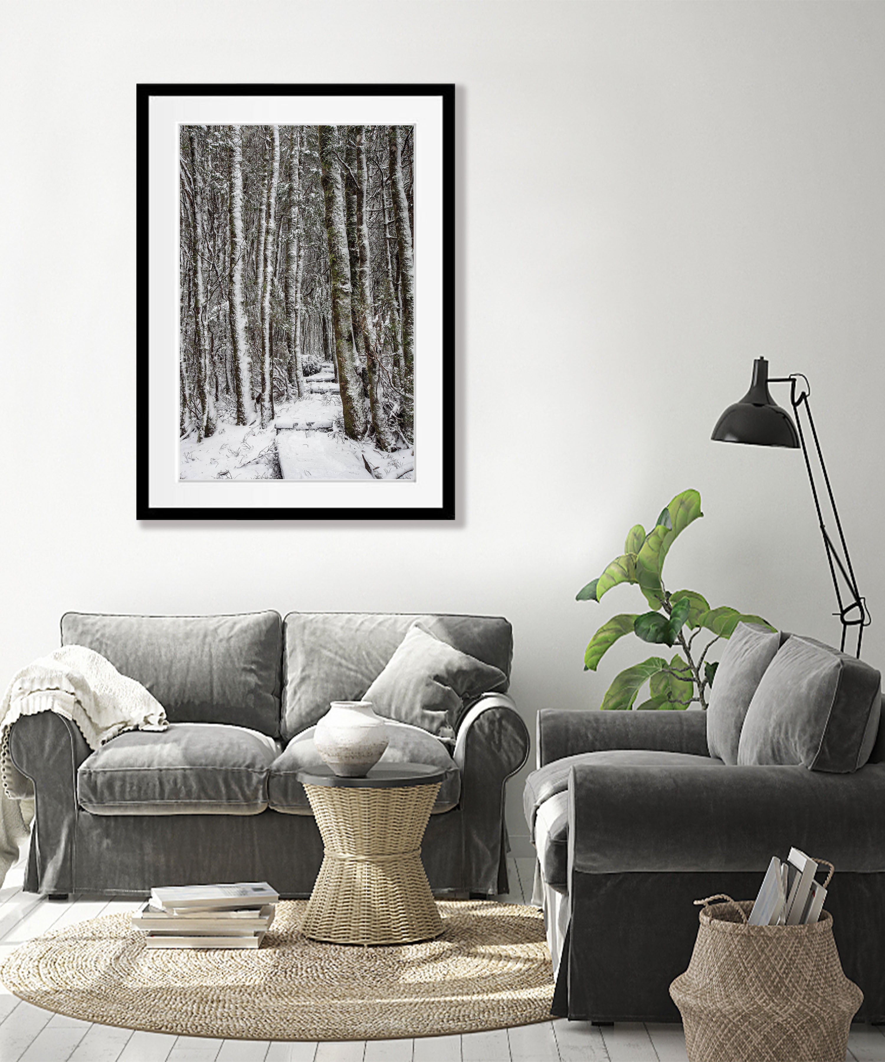 Walkway through the Snow-Covered Forest, Cradle Mountain, Tasmania
