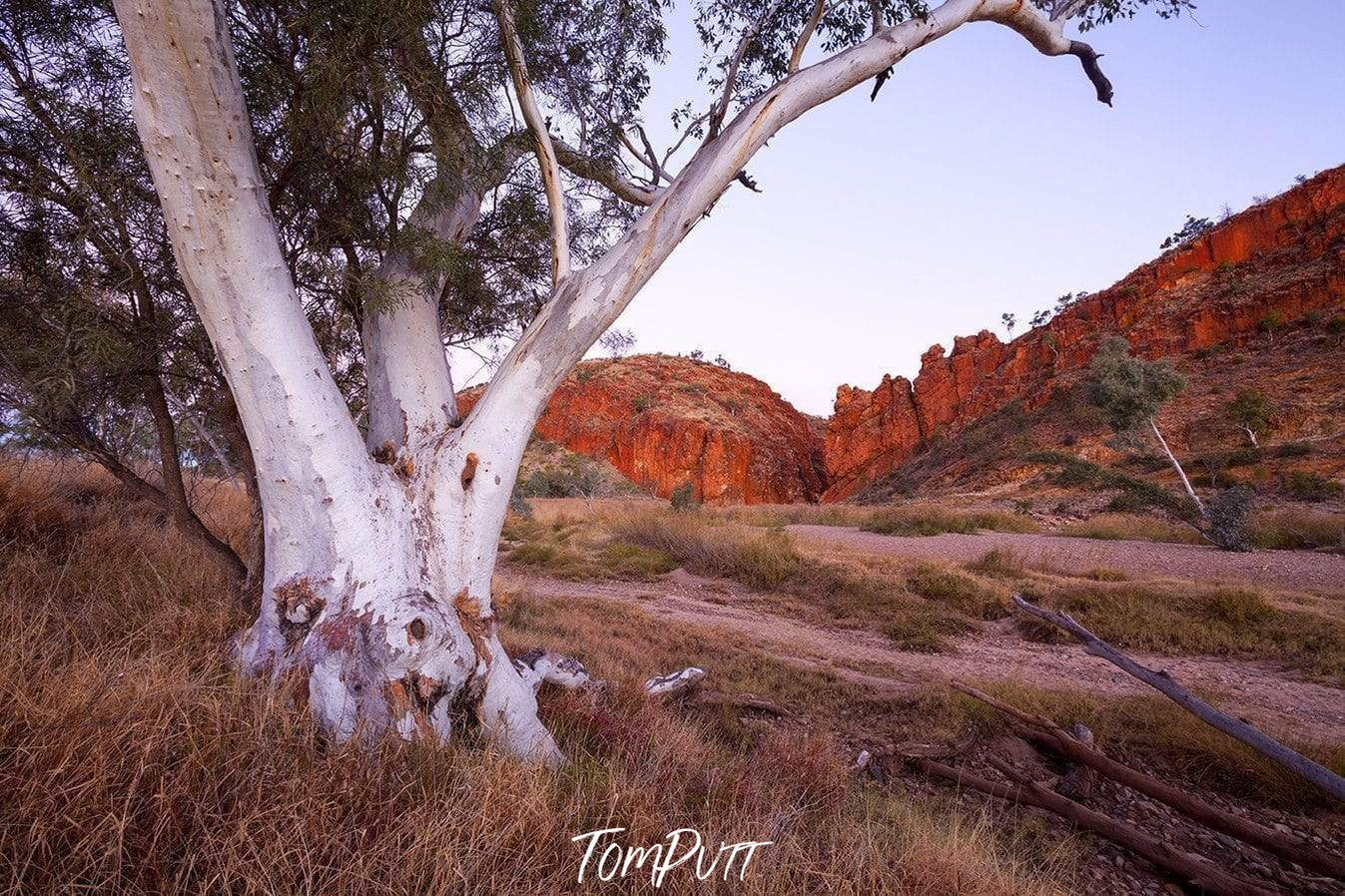 West MacDonnell Ranges, Northern Territory-Tom-Putt-Landscape-Prints