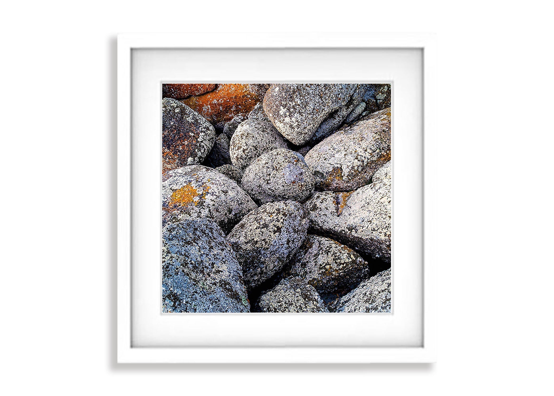 White Lichen on rock, Bay of Fires