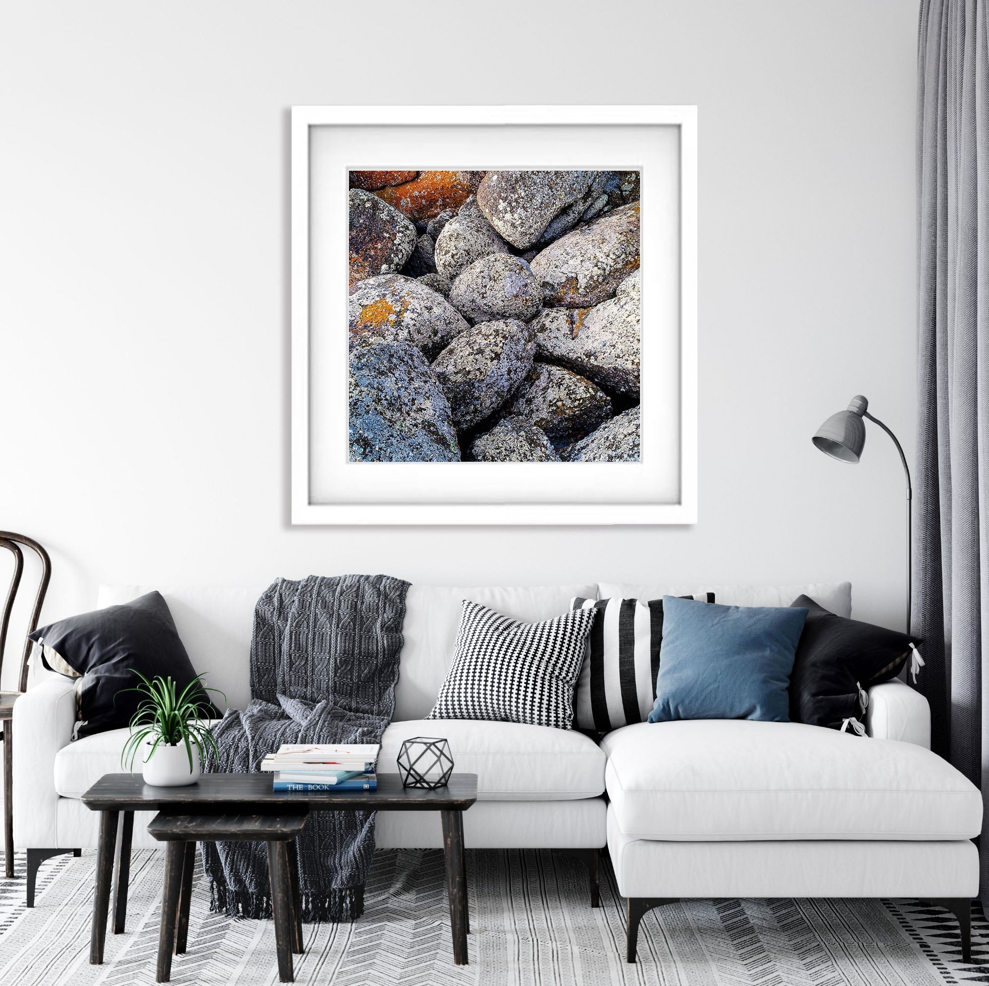 White Lichen on rock, Bay of Fires