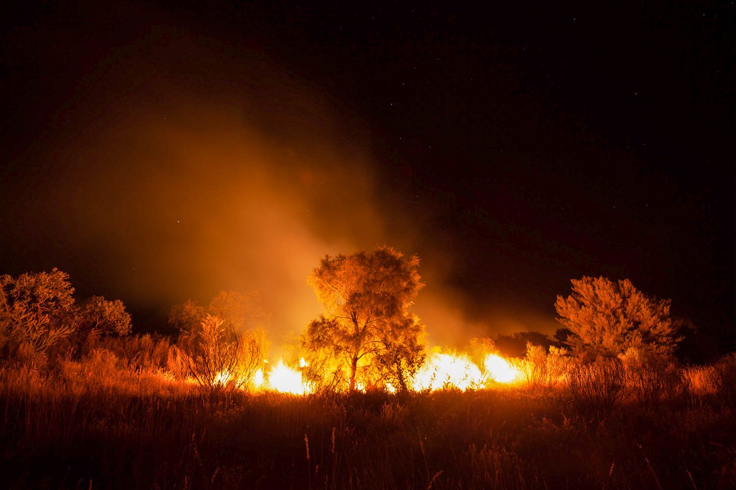 Night view of the burning forest, Wildfire, West MacDonnell Ranges - Northern Territory