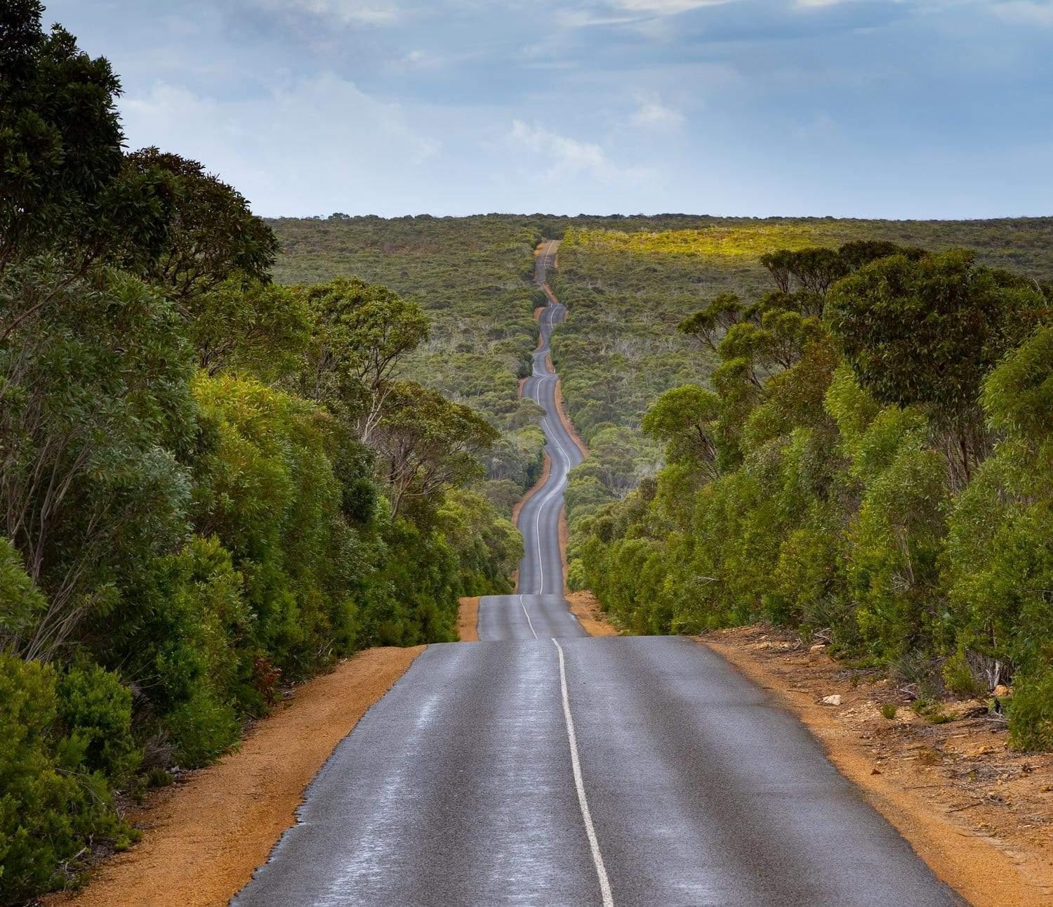 A long road with ups and downs between a thick forest, Windy Road, Kangaroo Island, South Australia