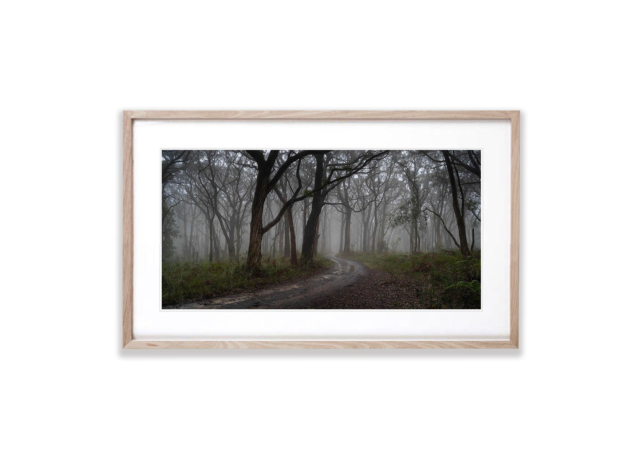 Winter Fog Arthurs Seat, Mornington Peninsula, VIC
