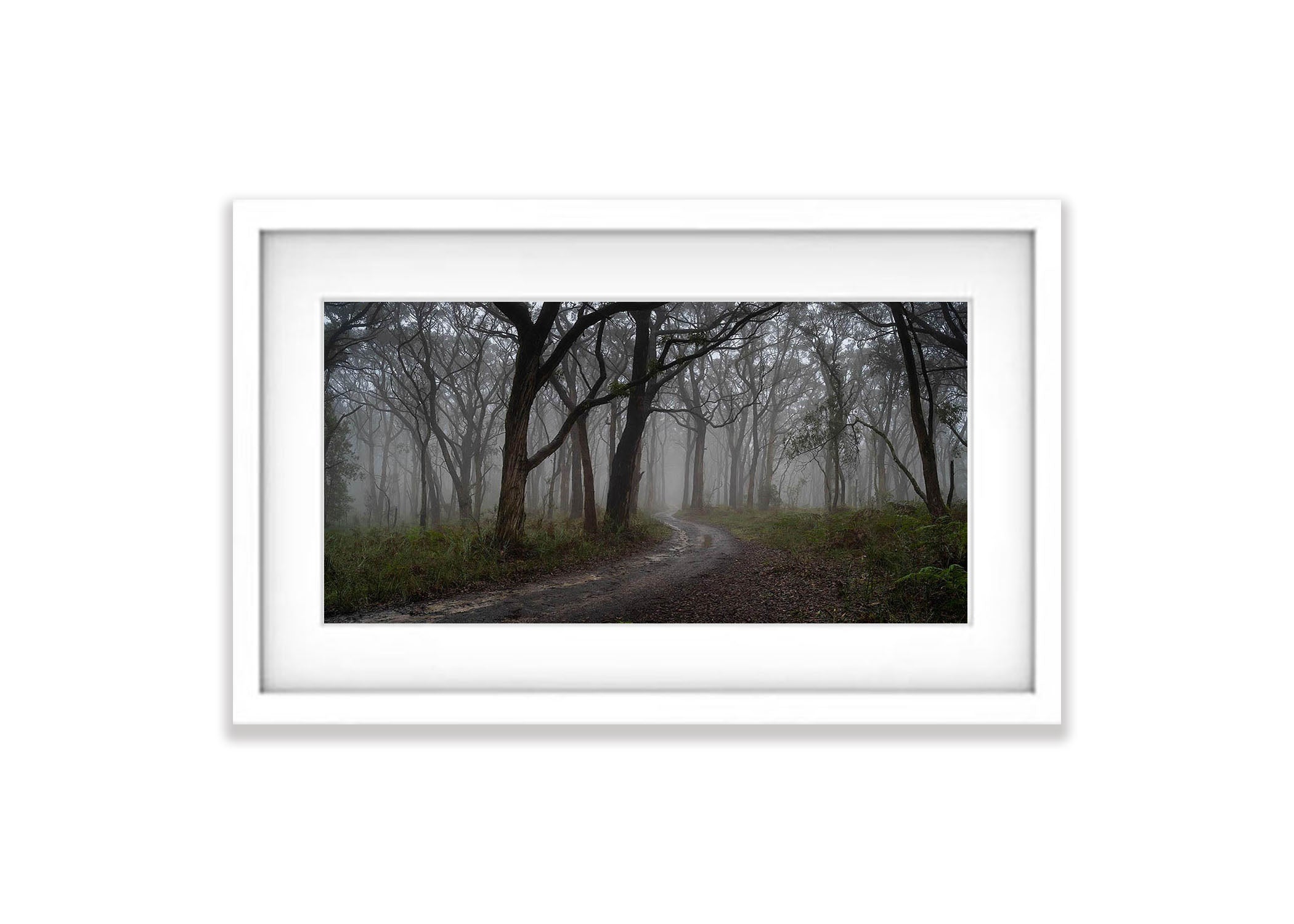 Winter Fog Arthurs Seat, Mornington Peninsula, VIC