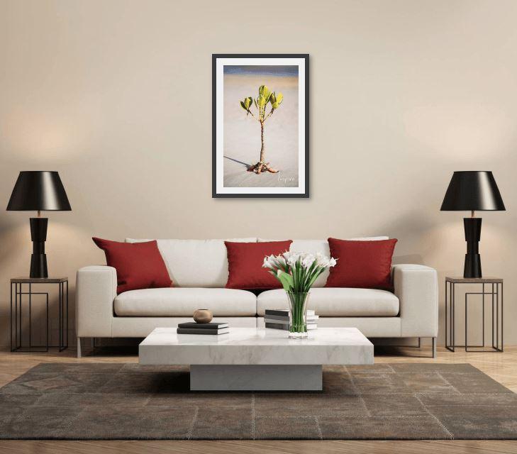 Young Mangrove Tree-Tom-Putt-Landscape-Prints