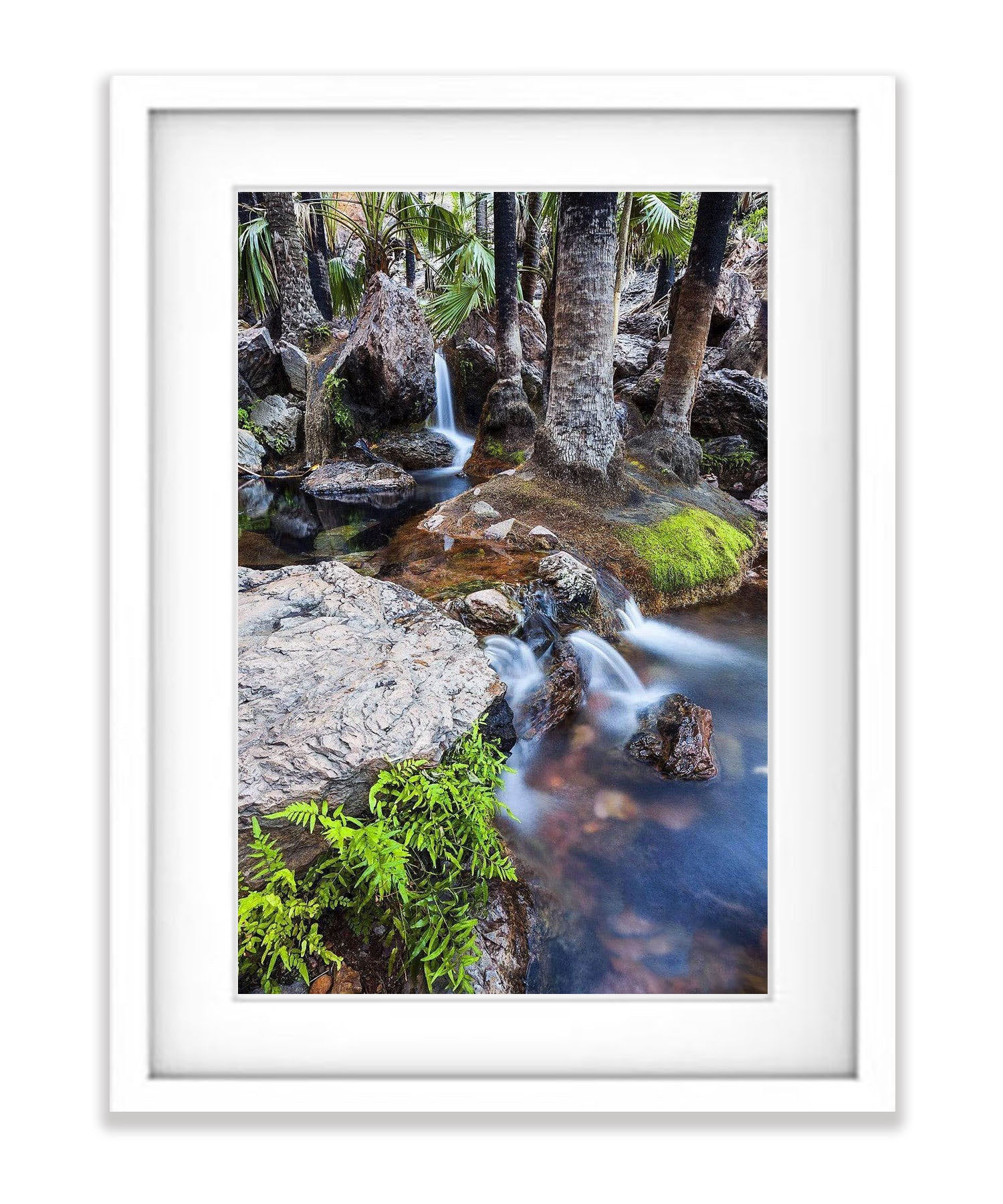 Zebedee Springs - El Questro, The Kimberley