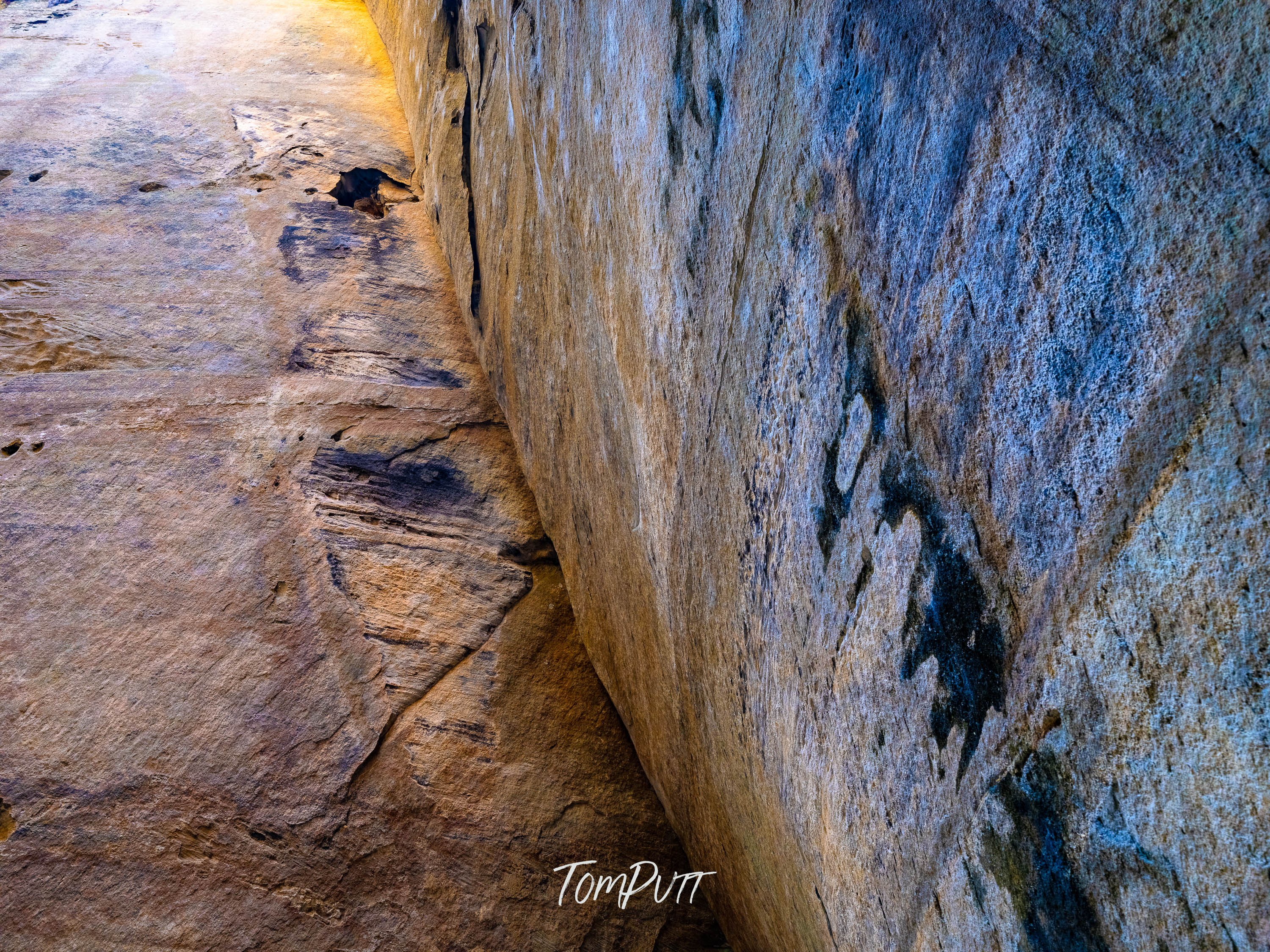 The Walls of Carnarvon Gorge