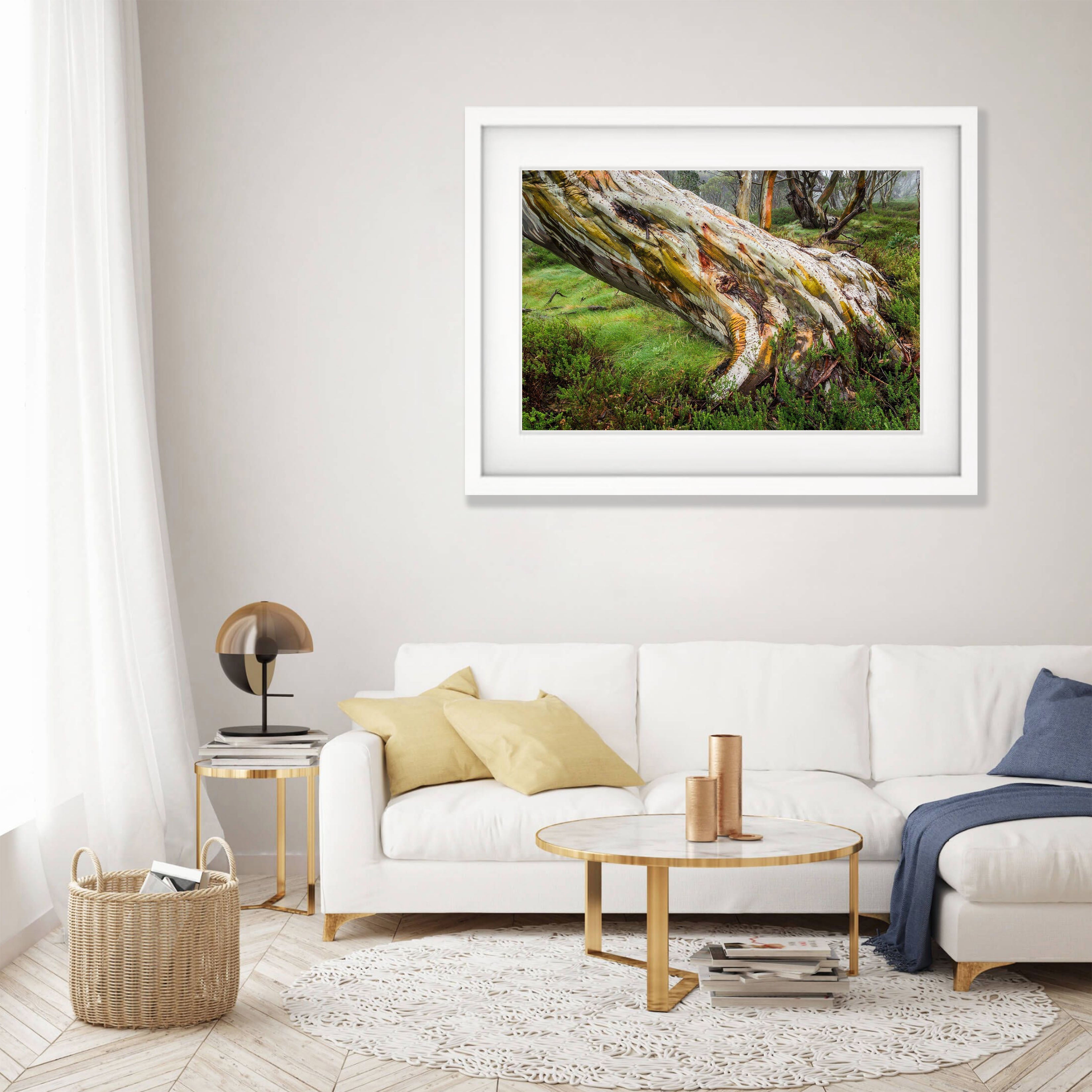 ARTWORK INSTOCK - Ancient Snow Gum - Snowy Mountains, NSW - 150 x 100cms Canvas Raw Oak Print