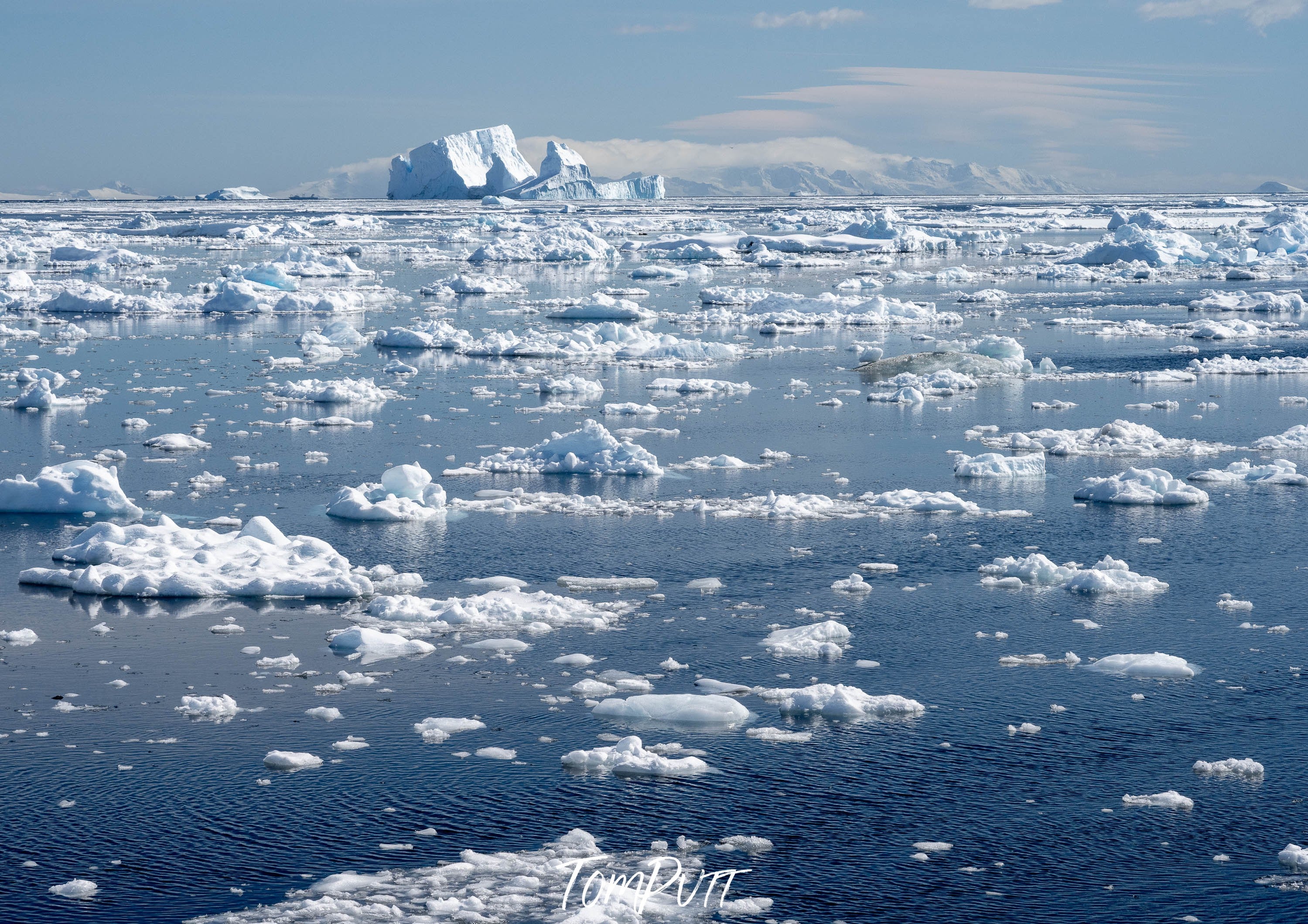 A Tranquil Dance of Icebergs in the Antarctic Blue