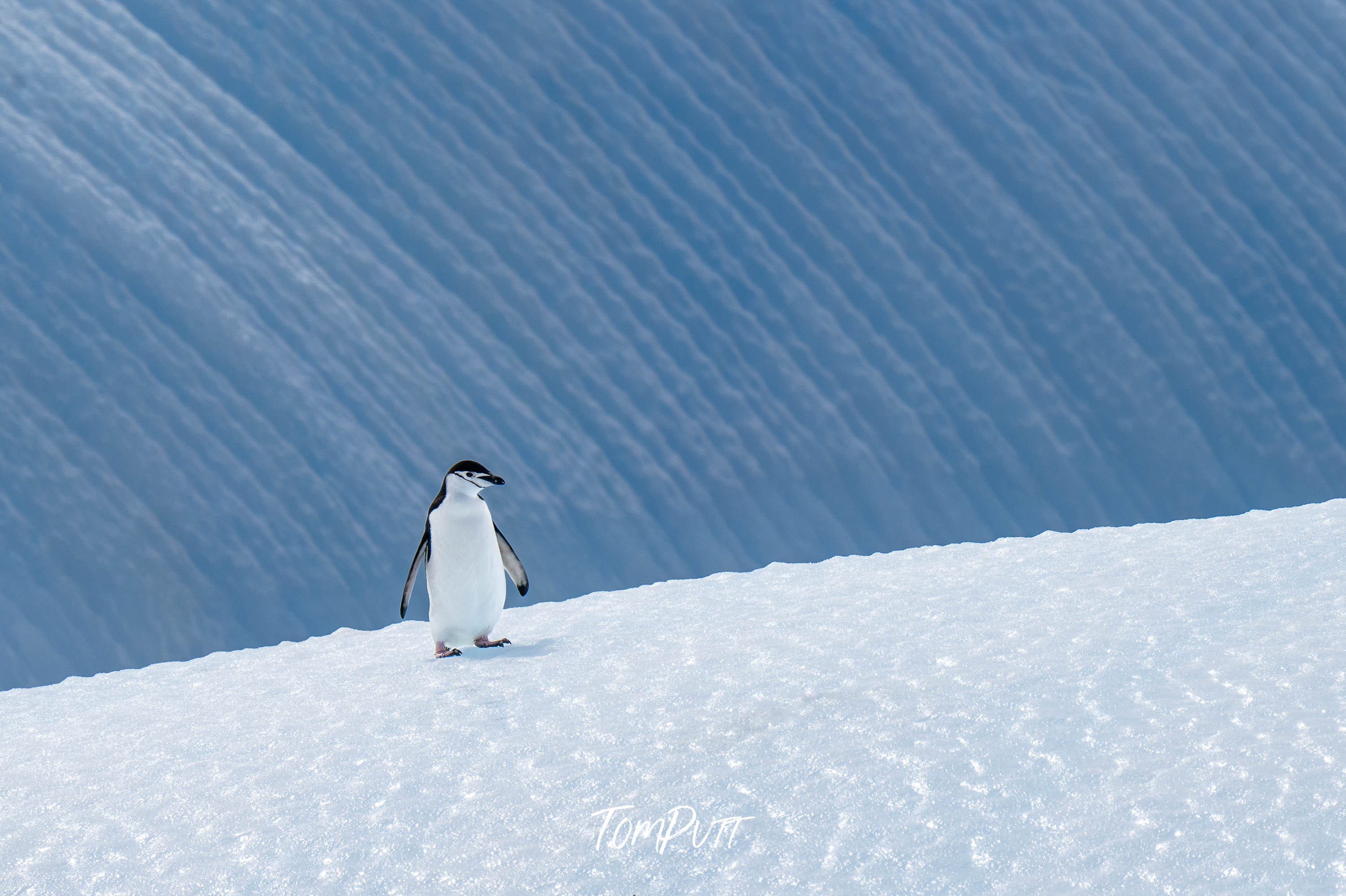 Solitude, Antarctica