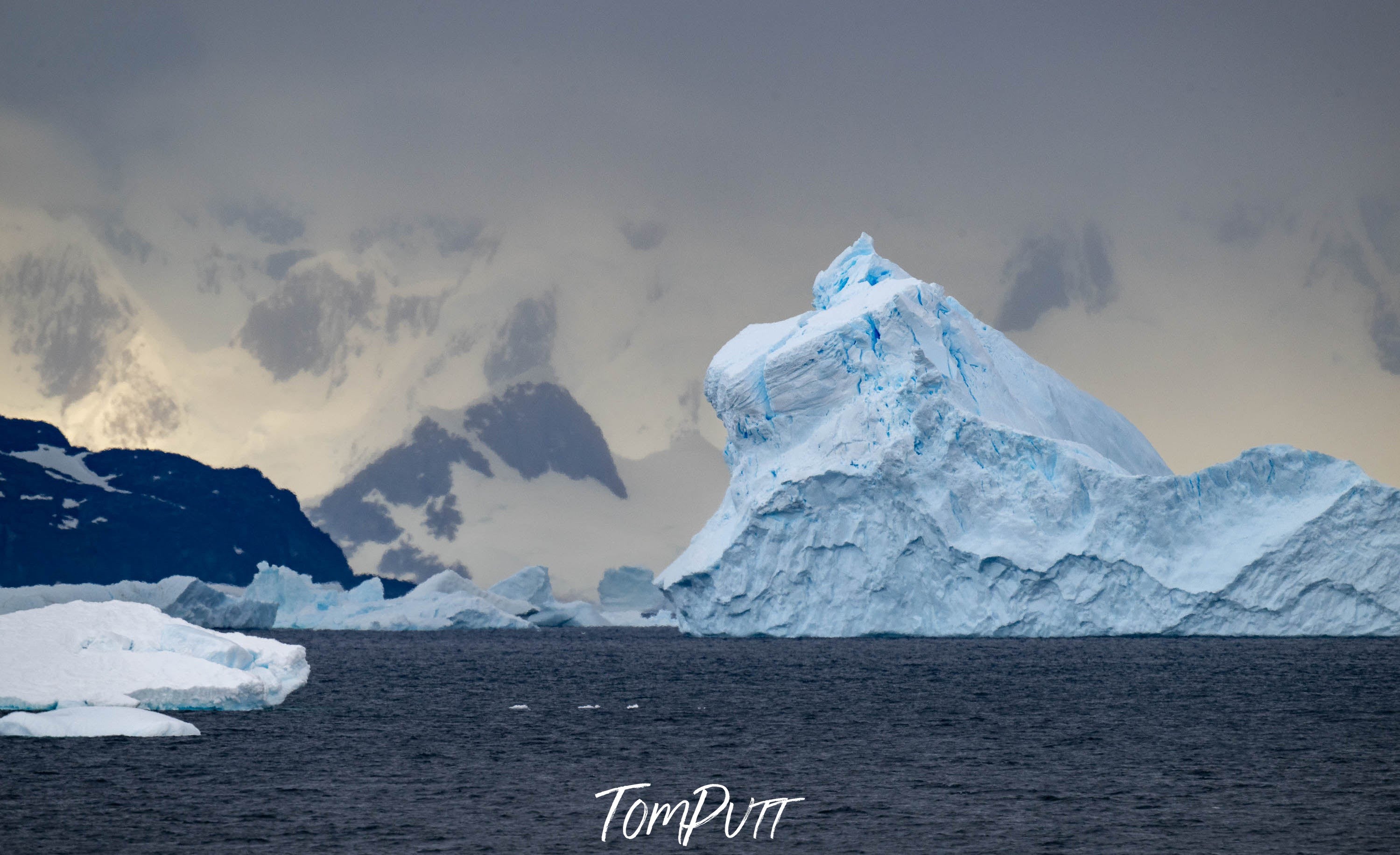 Oceanic Wonders, Antarctica