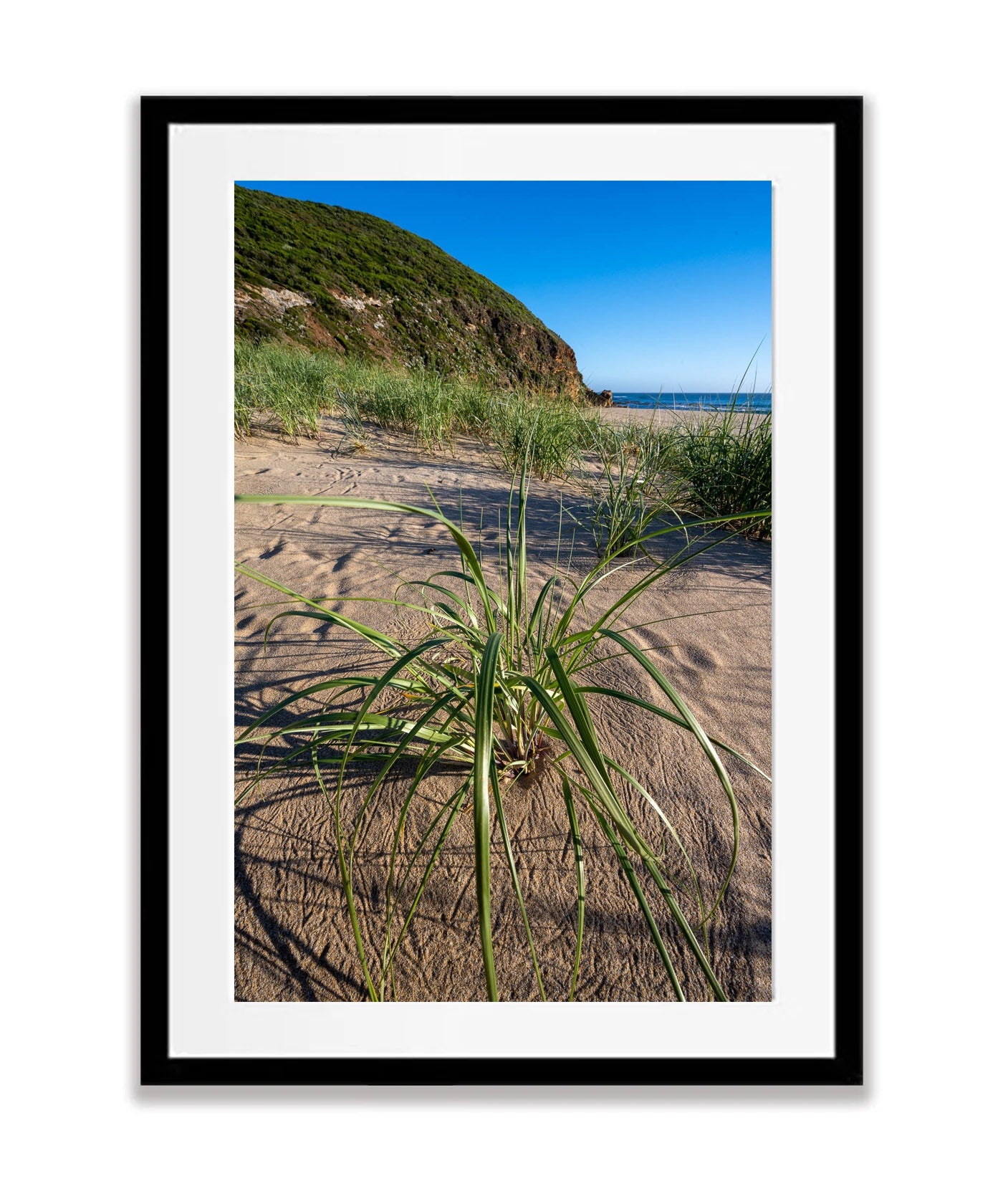 Aire River Grasses, Great Ocean Road