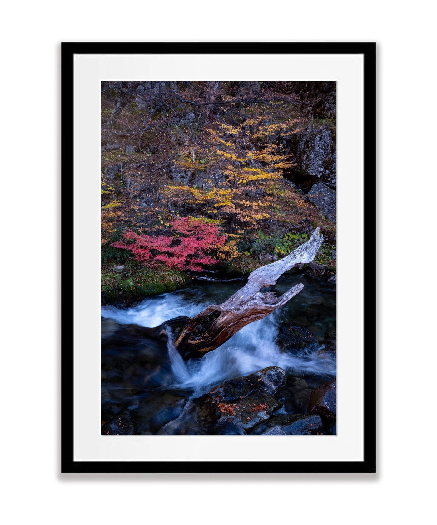 Mountain Stream Autumn, Patagonia