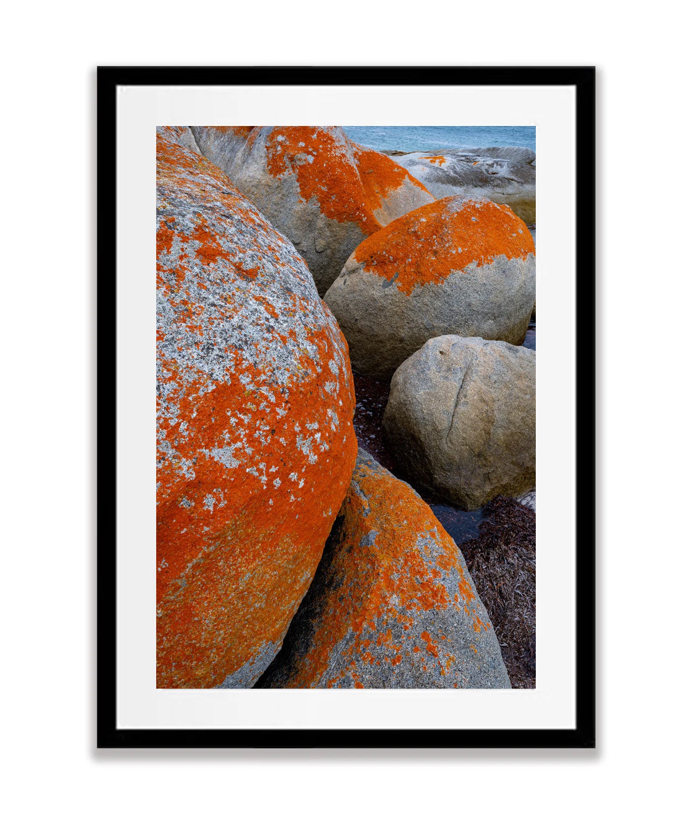 Red Lichen Rocks No.5, Flinders Island, Tasmania