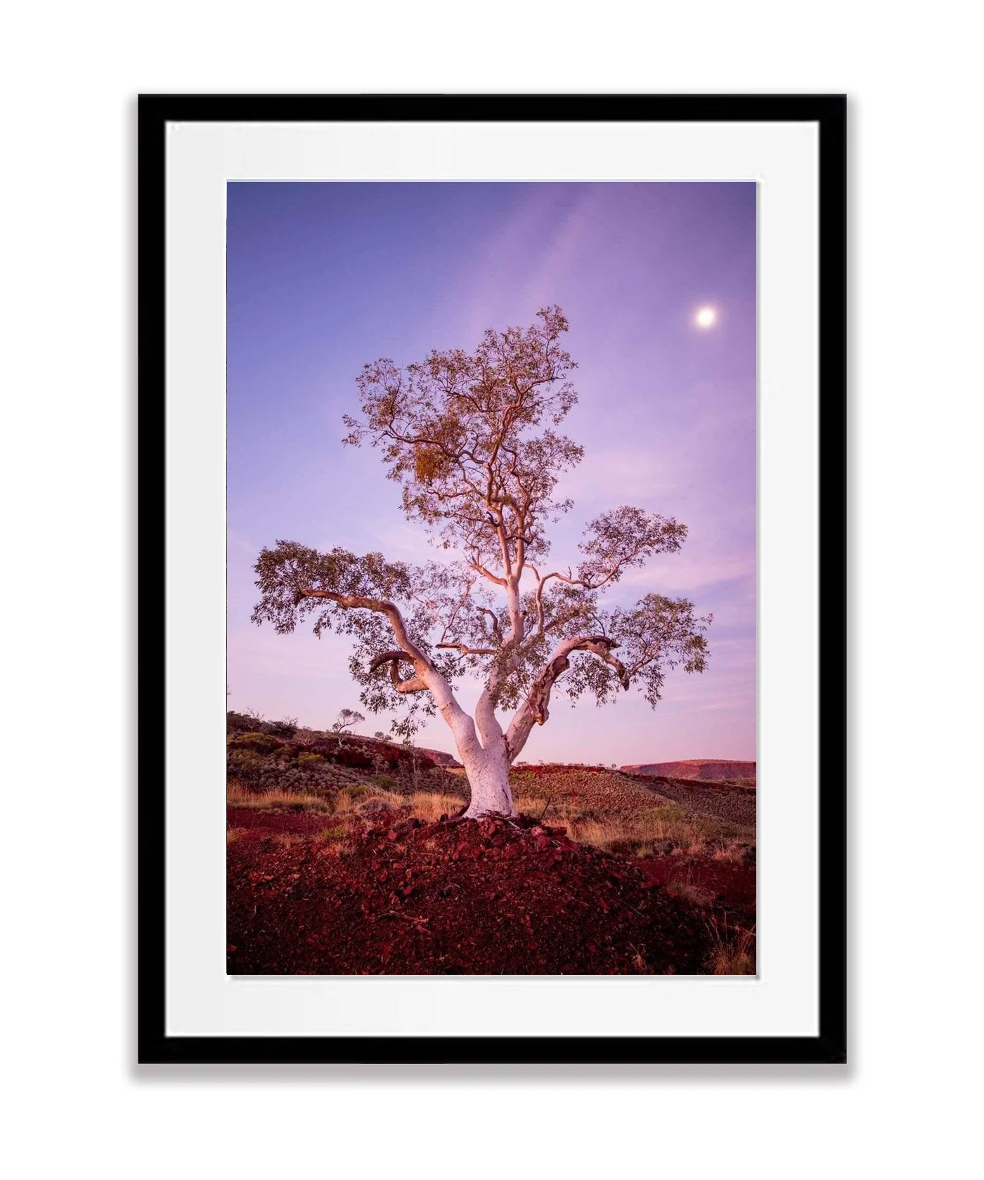 Gum Glow - Karijini, The Pilbara