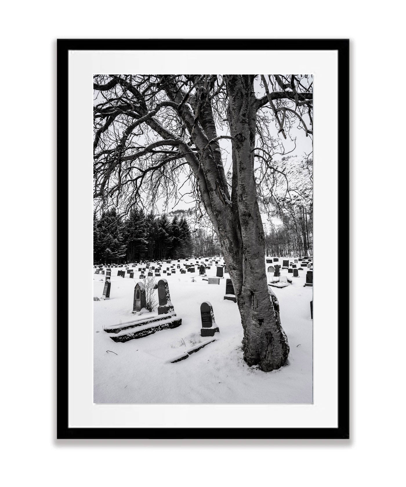 Cemetery, Lofoten, Norway