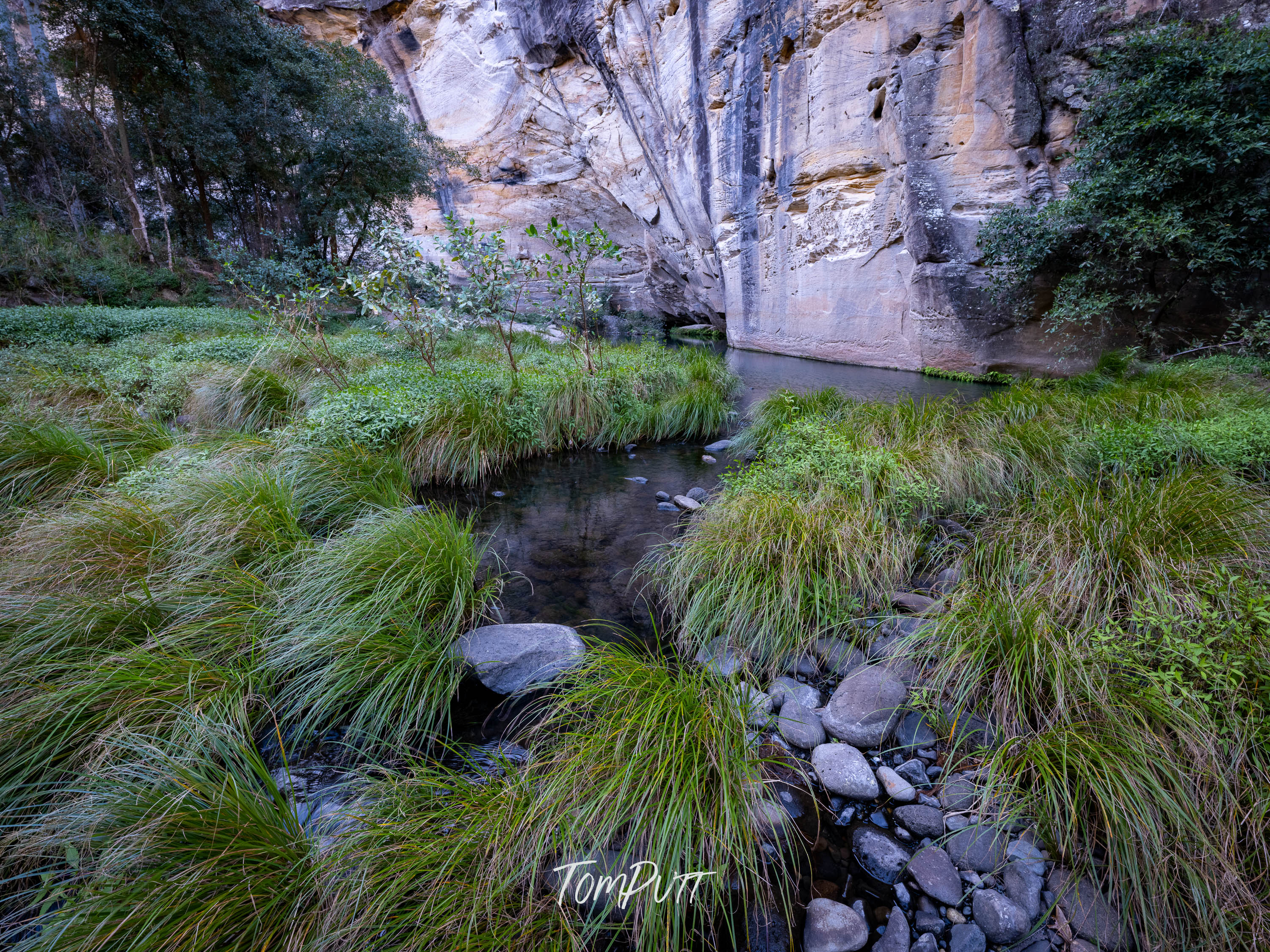 Big Bend Carnarvon Gorge
