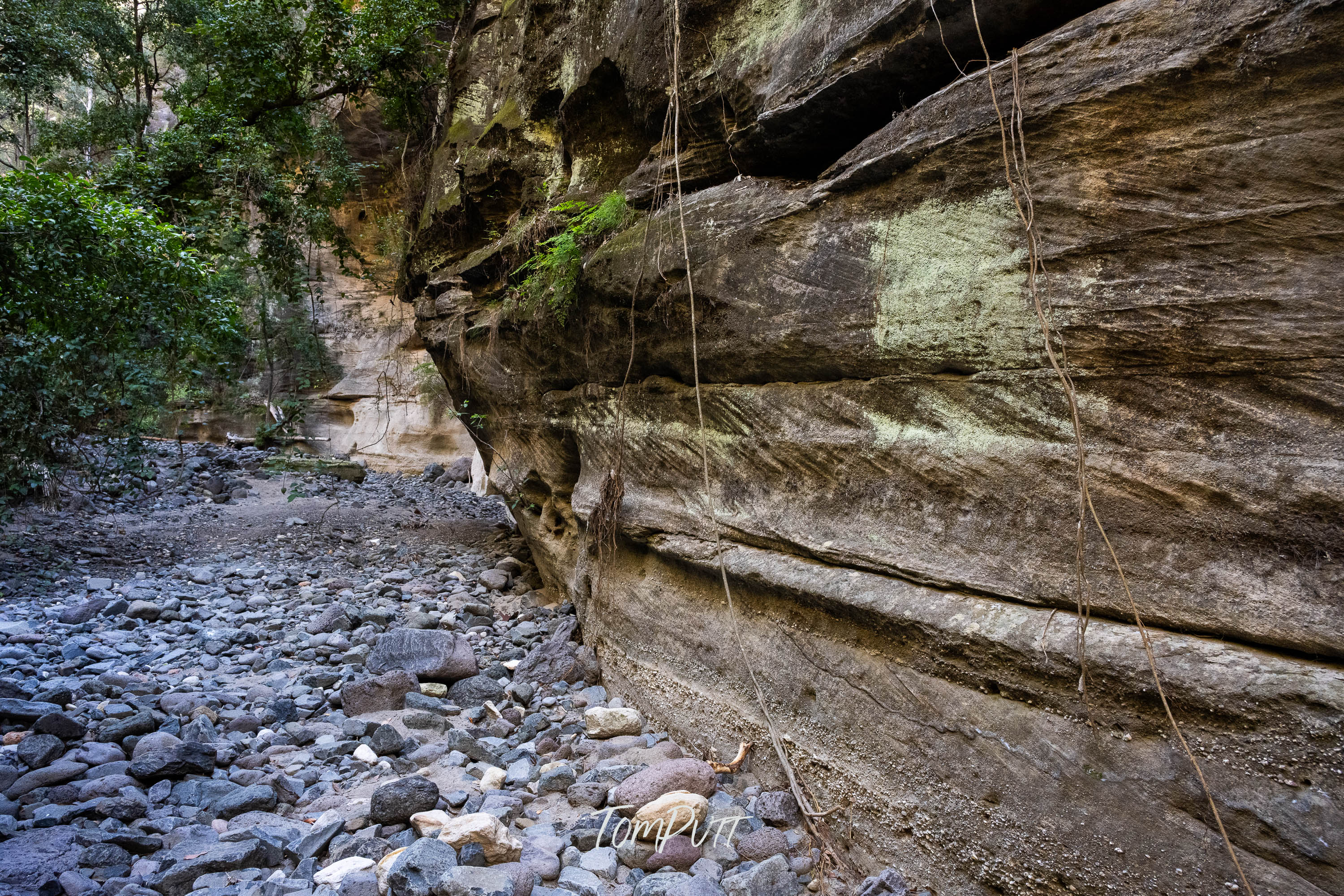 Boowinda Bend, Carnarvon Gorge