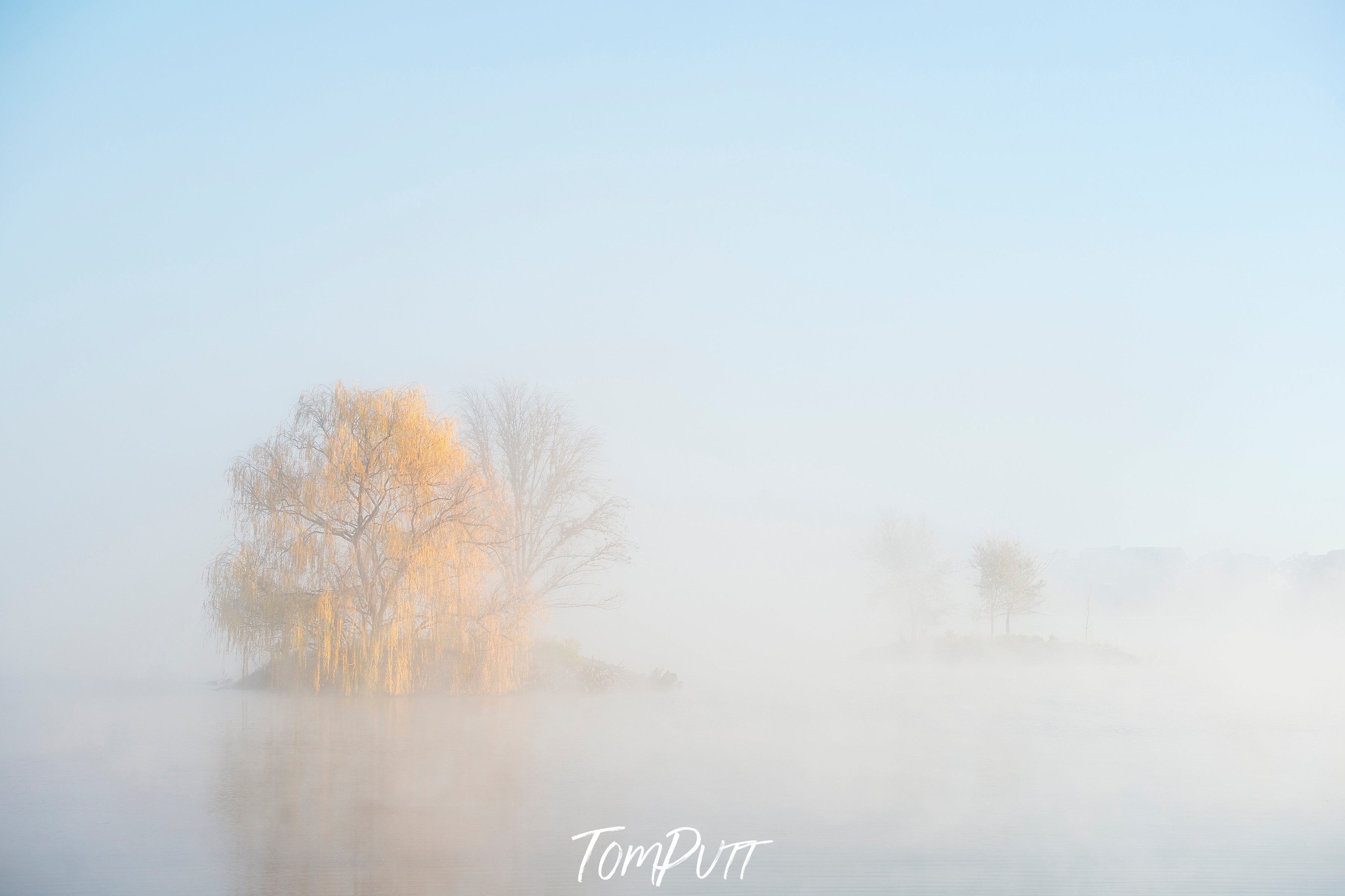 Morning Mist - Lake Burley Griffin AC