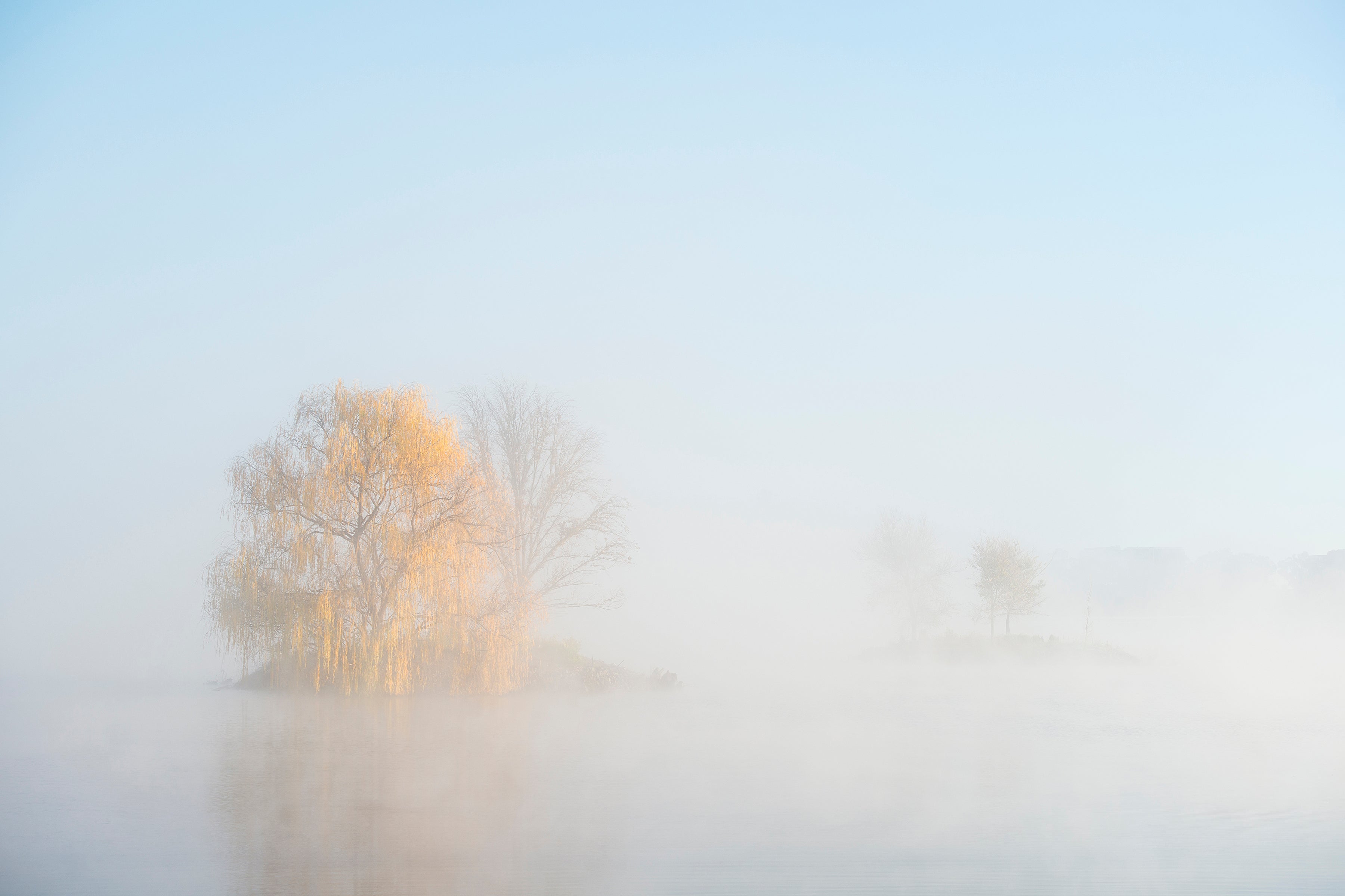 Morning Mist - Lake Burley Griffin AC