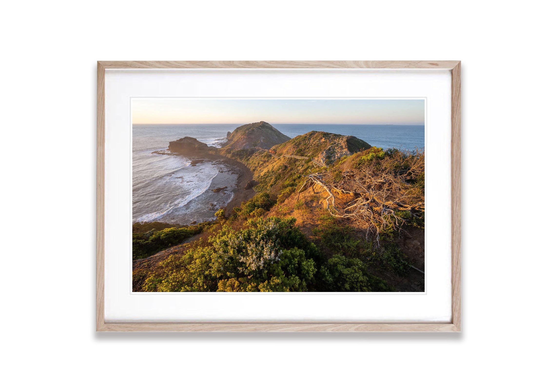 Cape Schanck Sunrise, Mornington Peninsula