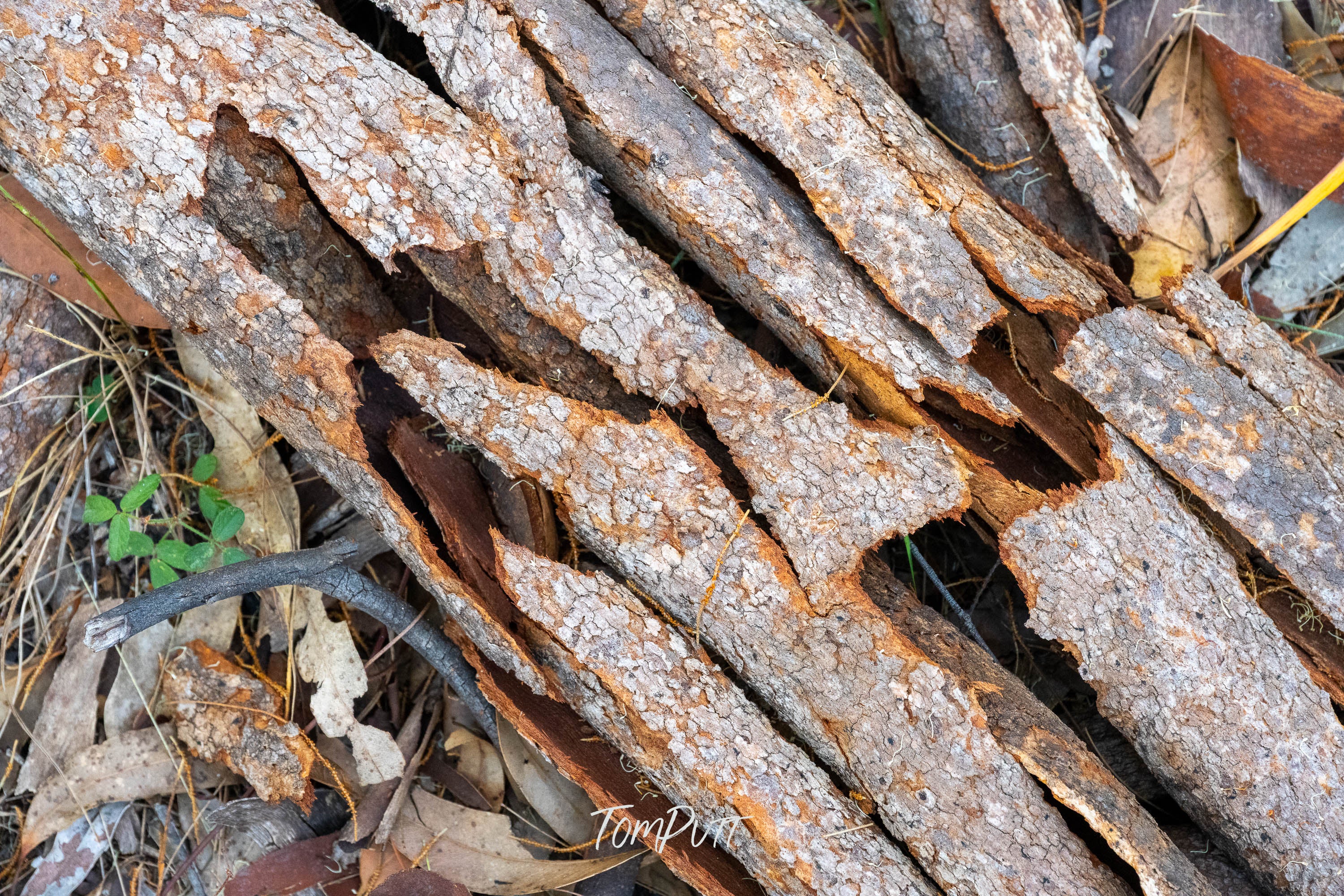 Carnarvon Mulch