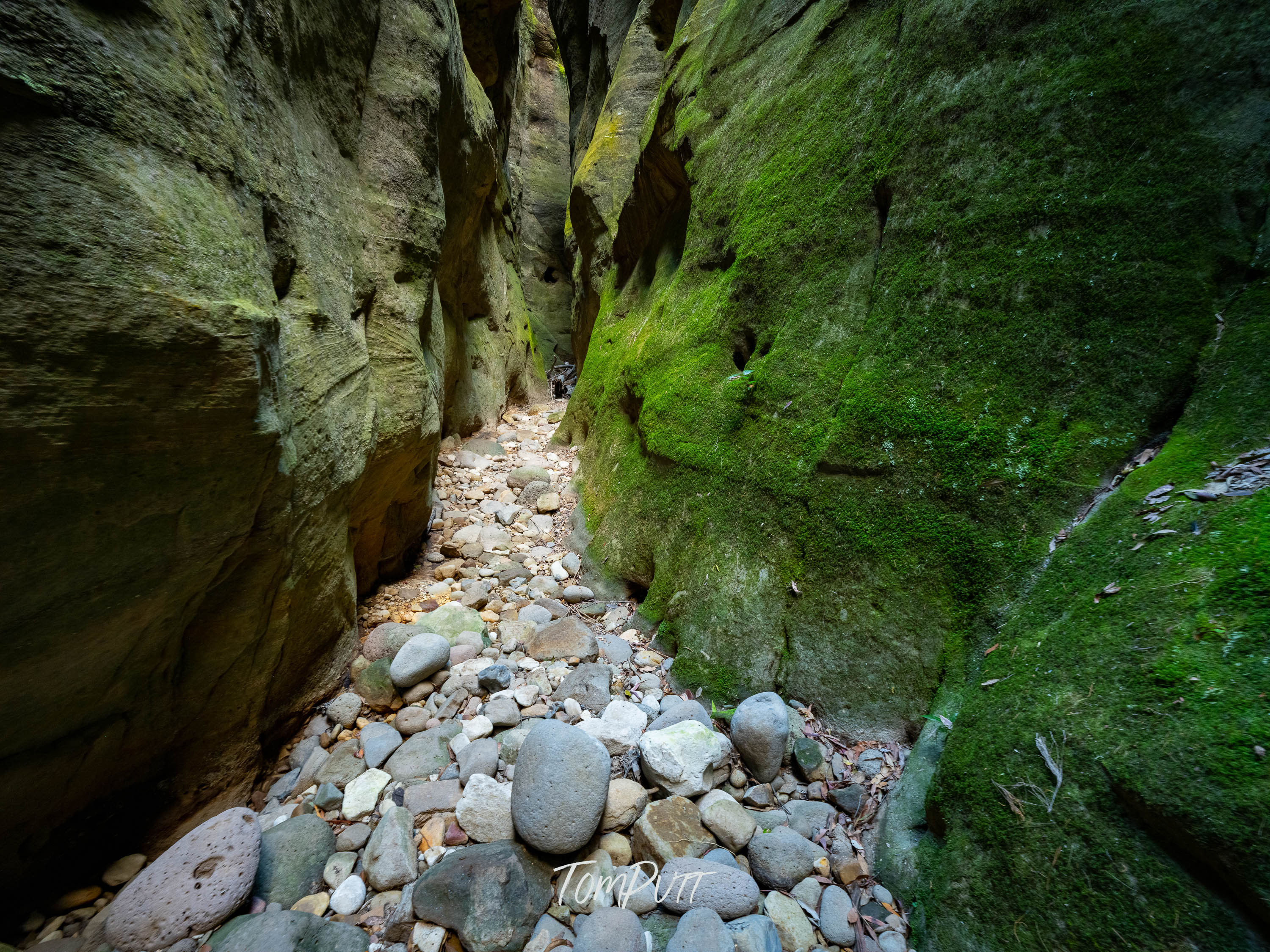 The Narrow Path, Carnarvon Gorge