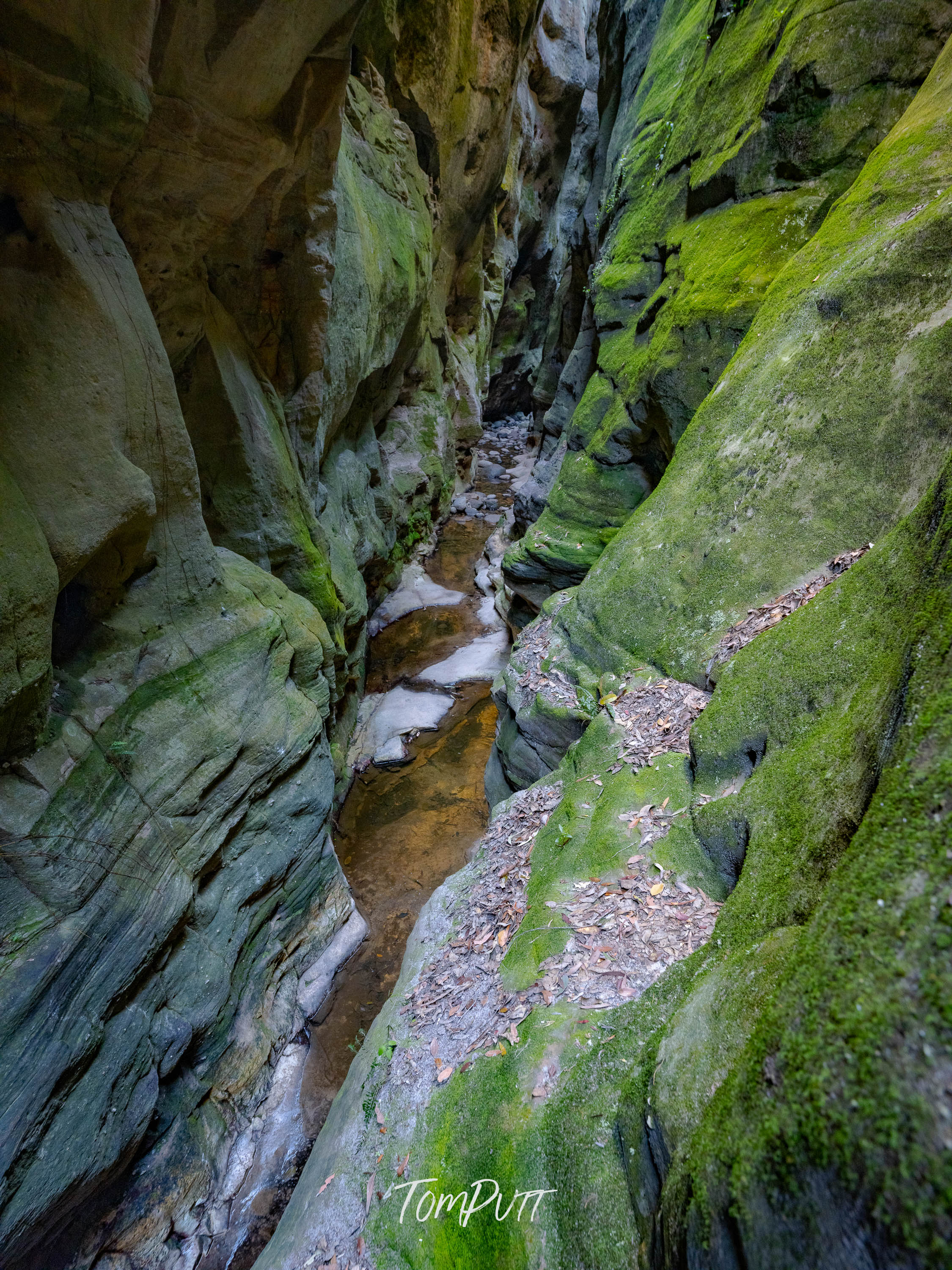 Carnarvon Gorge Depths