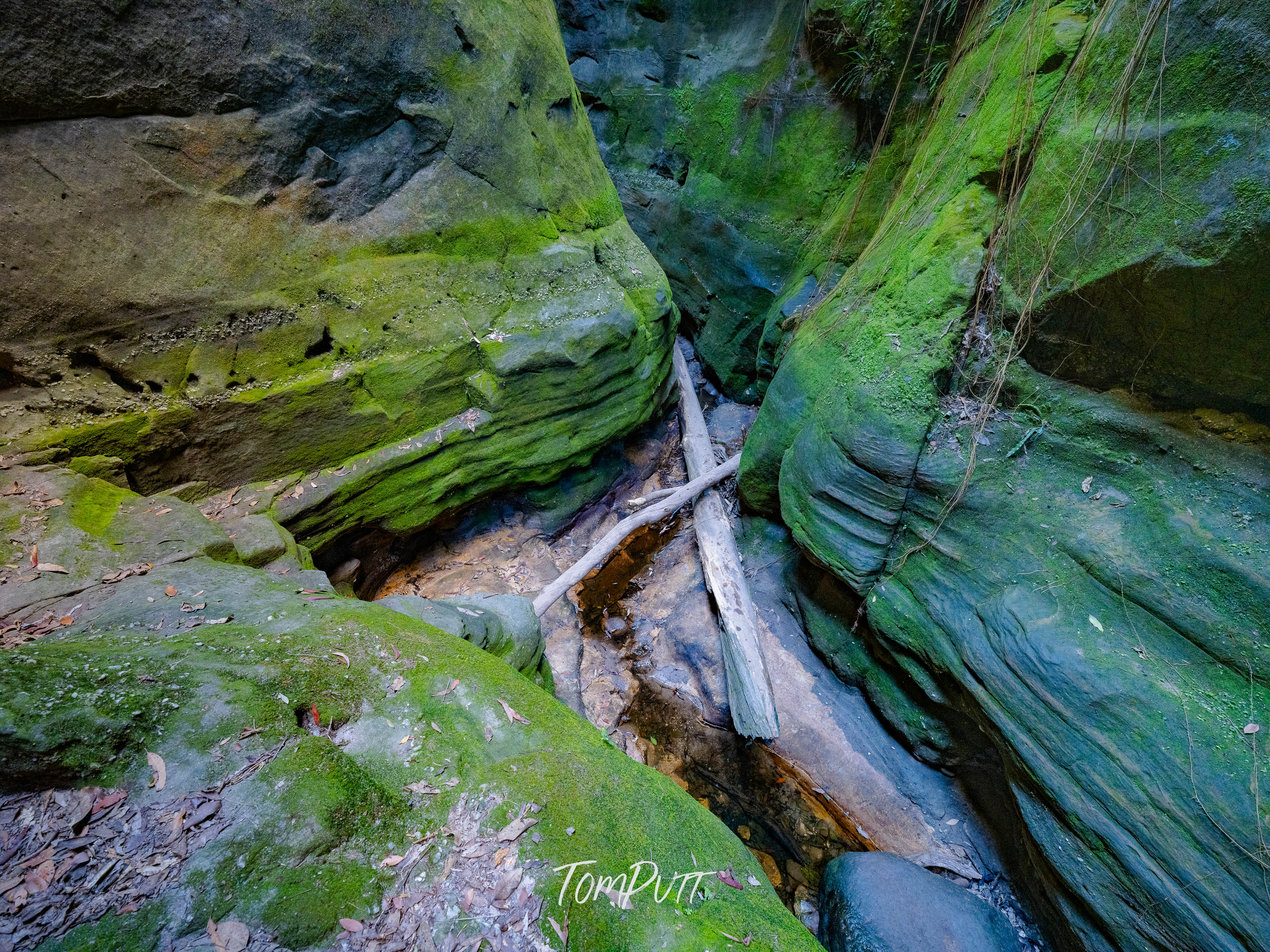 Carnarvon Moss Passage