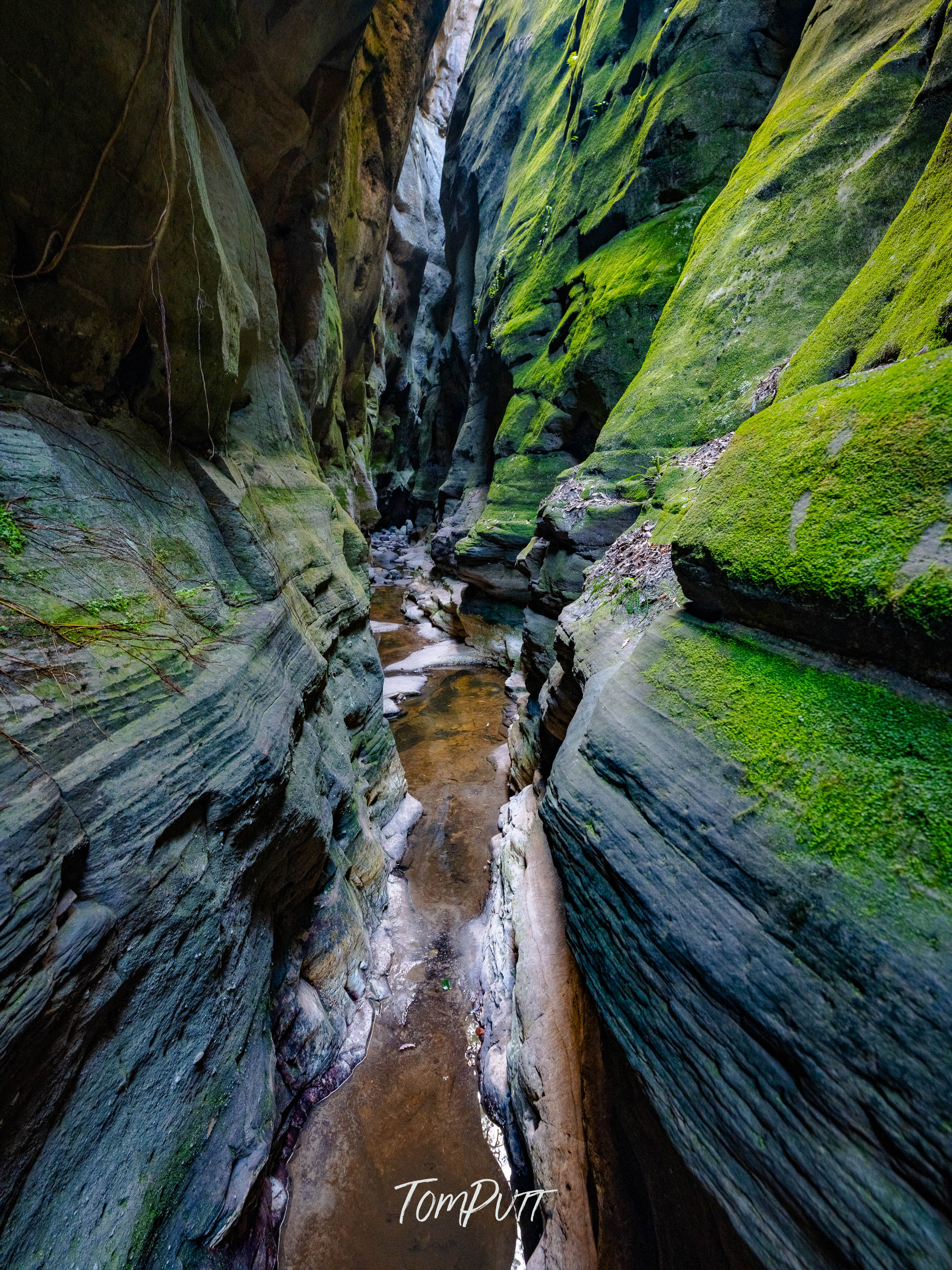 Stone Veil, Carnarvon Gorge