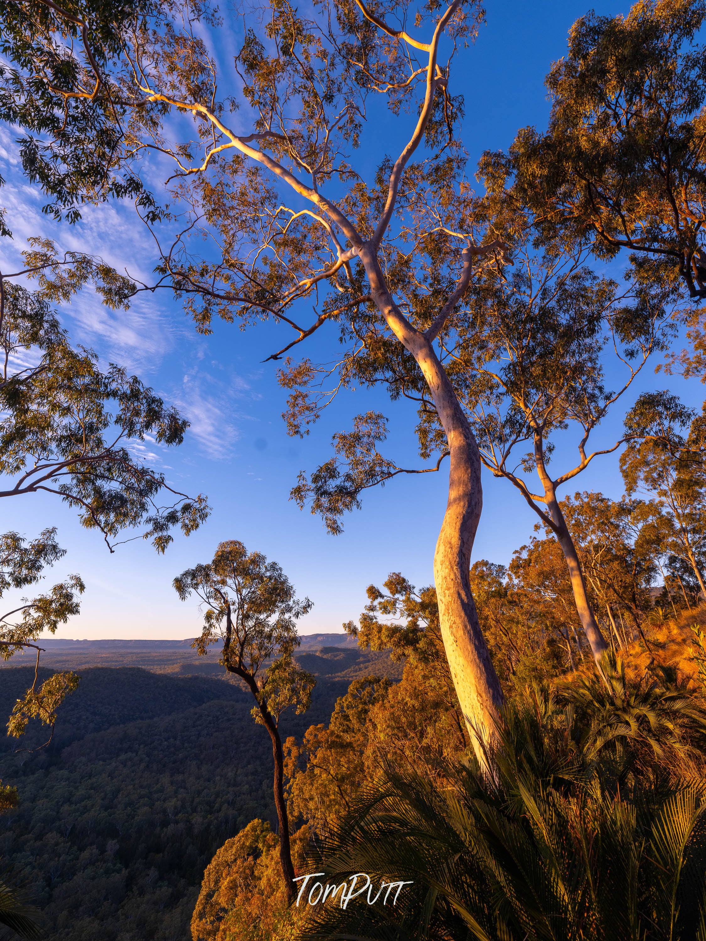 The Light of Carnarvon Gorge
