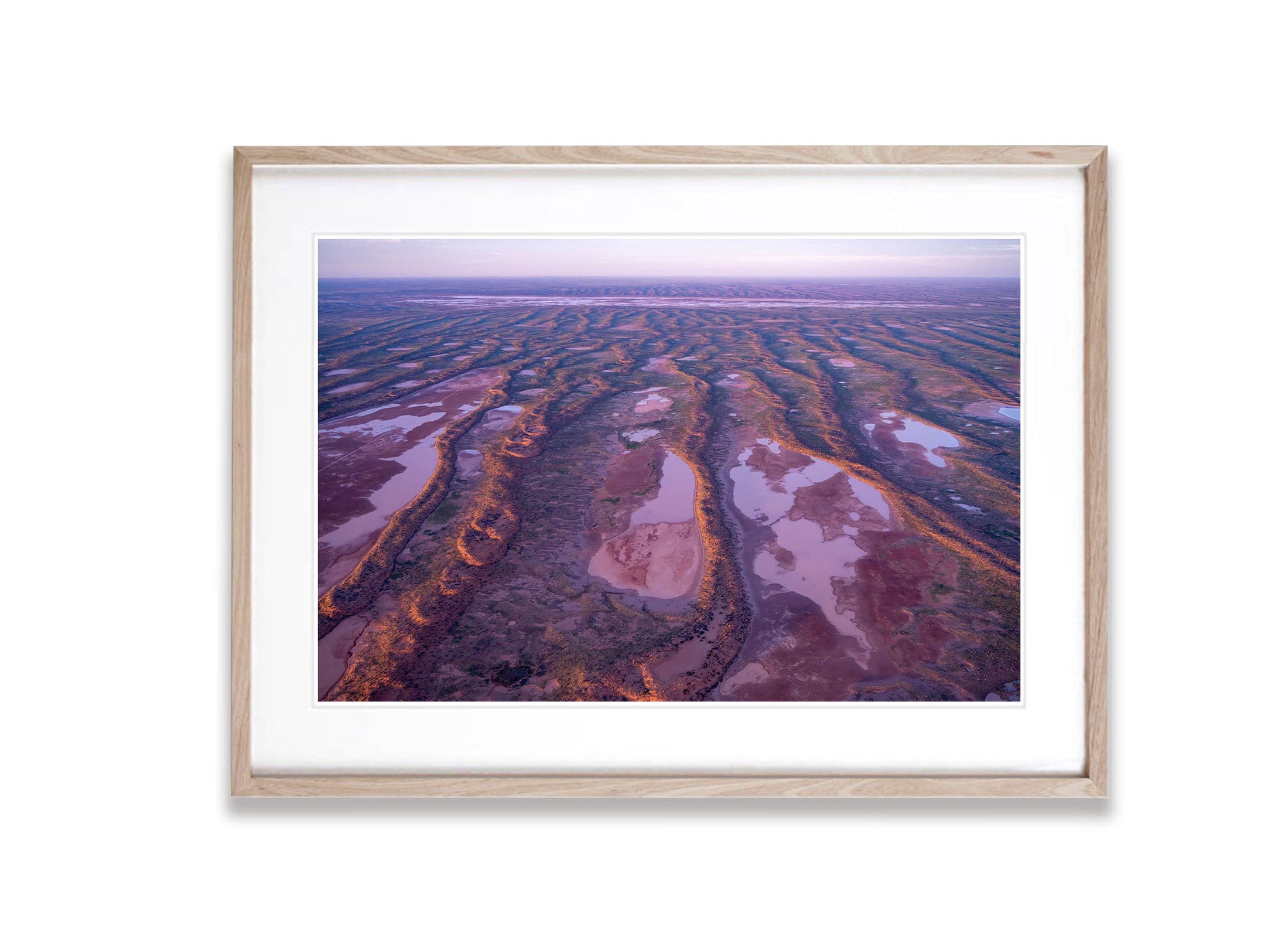 Central Australian Desert after rain