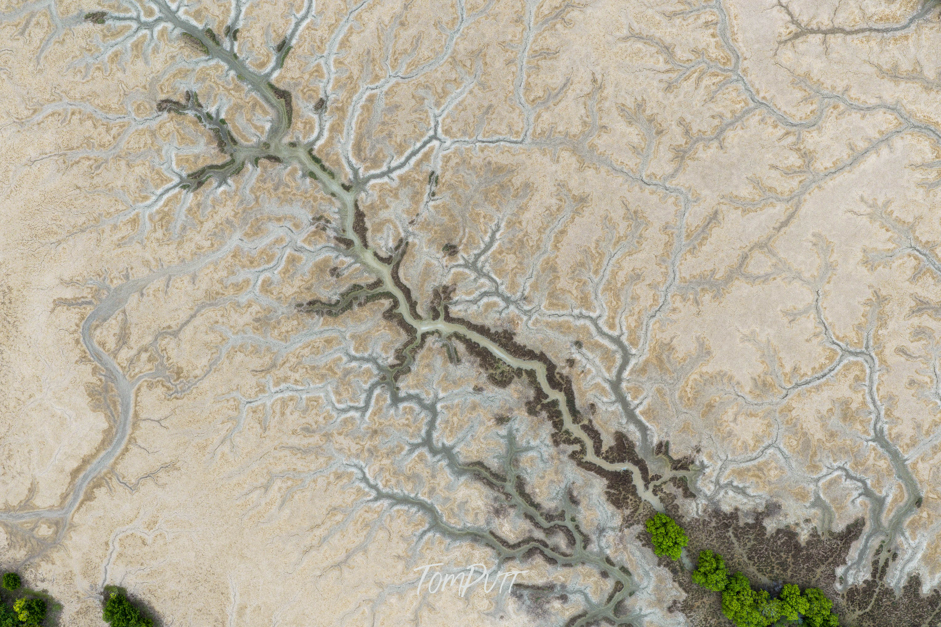 Veins of the Gulf Country