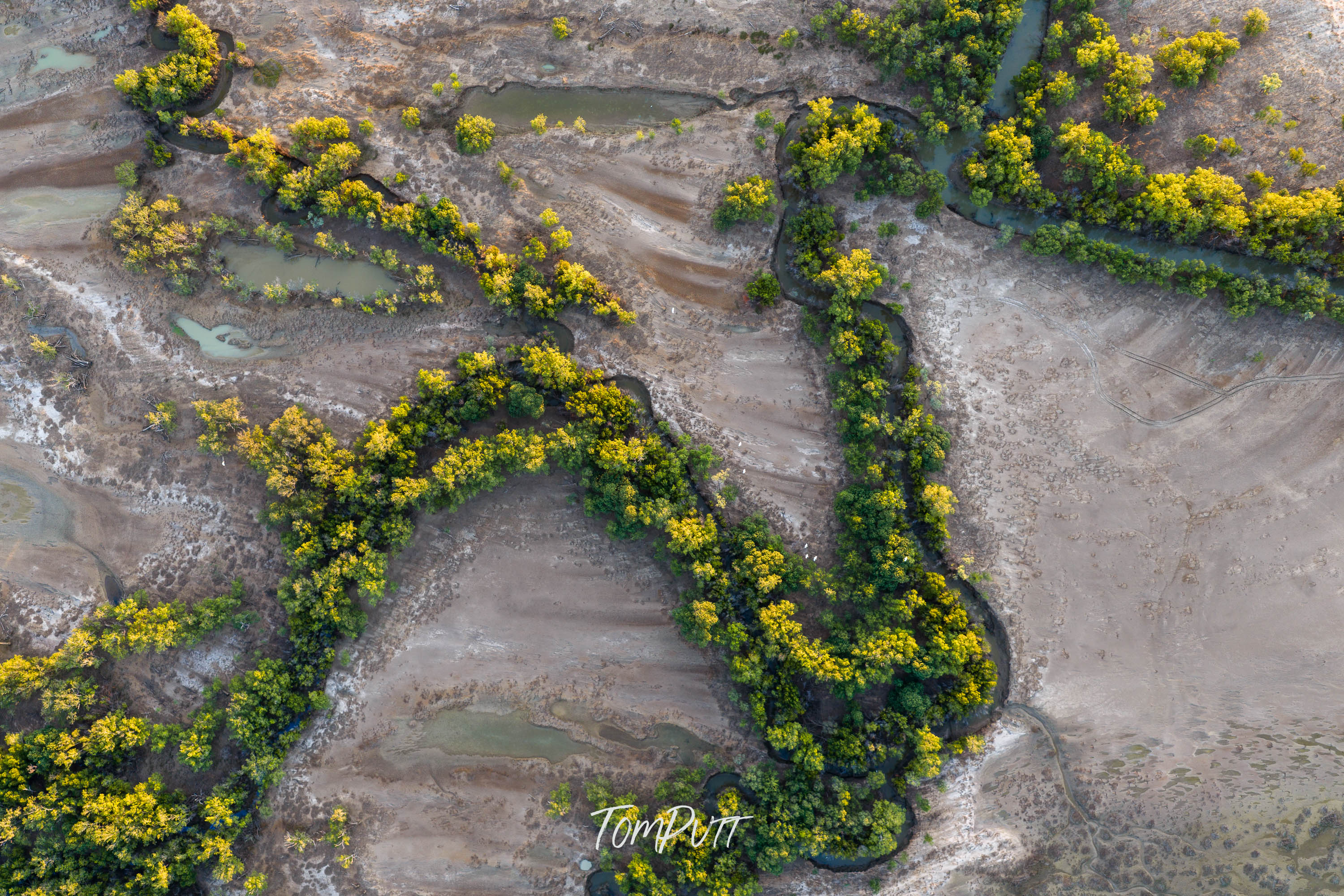 Rivers of Trees. Gulf Country