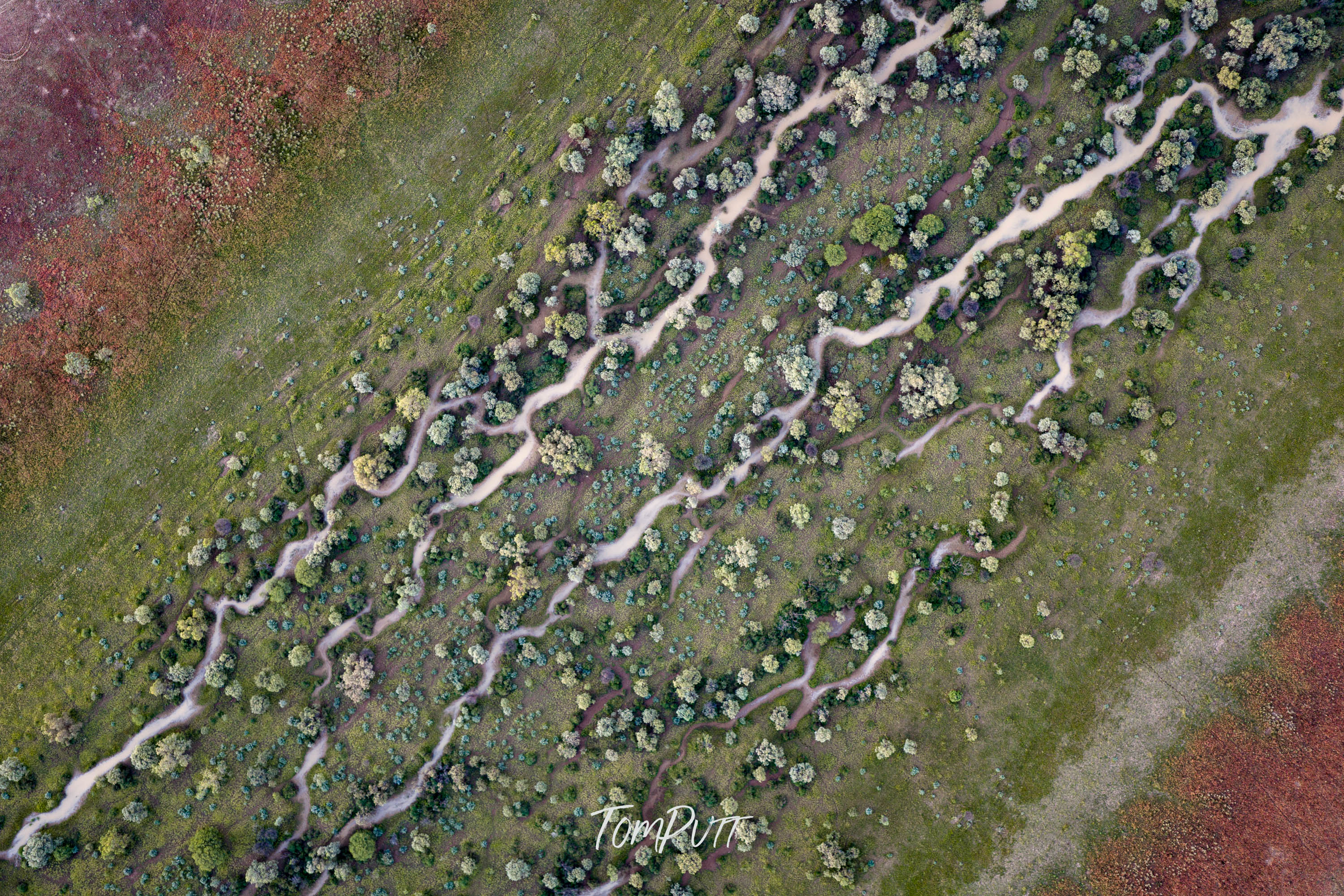 Woven Paths, Channel Country