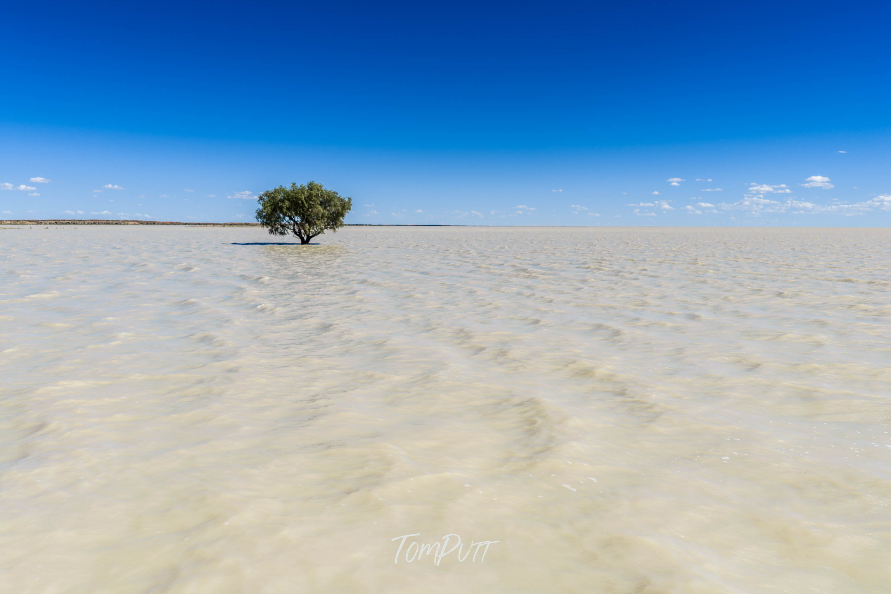 Tree on the Horizon, Channel Country